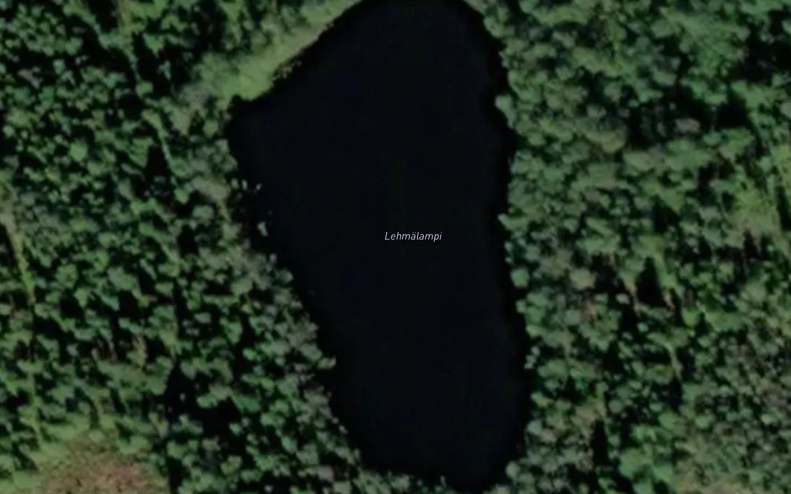 Lehmalampi