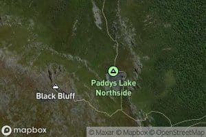 Paddys Lake