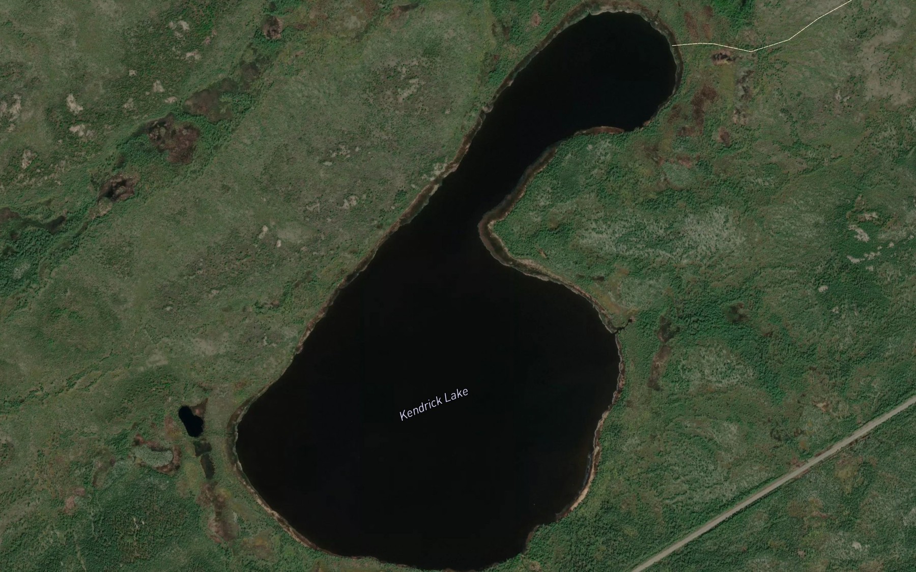 Satellite map of the Kendrick Lake