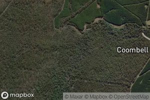 Fiddle Creek