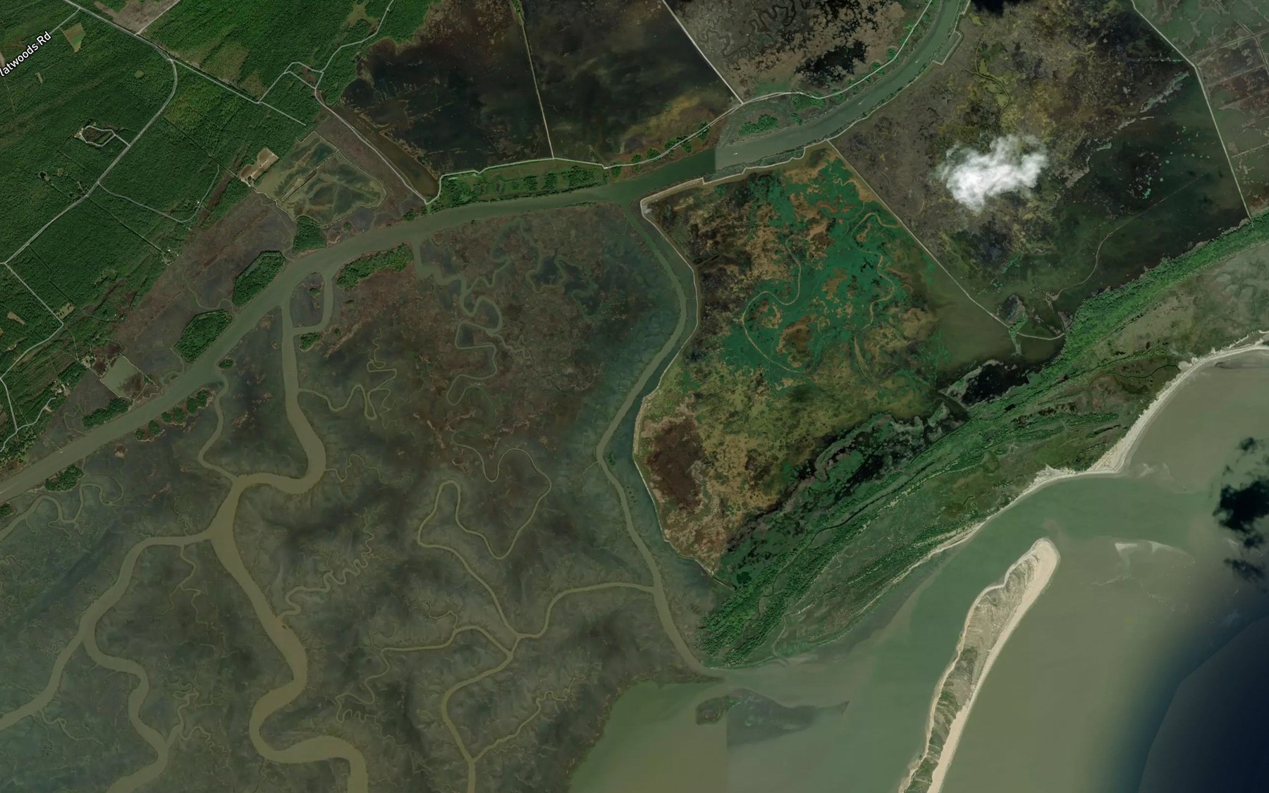 Satellite map of the Alligator Creek