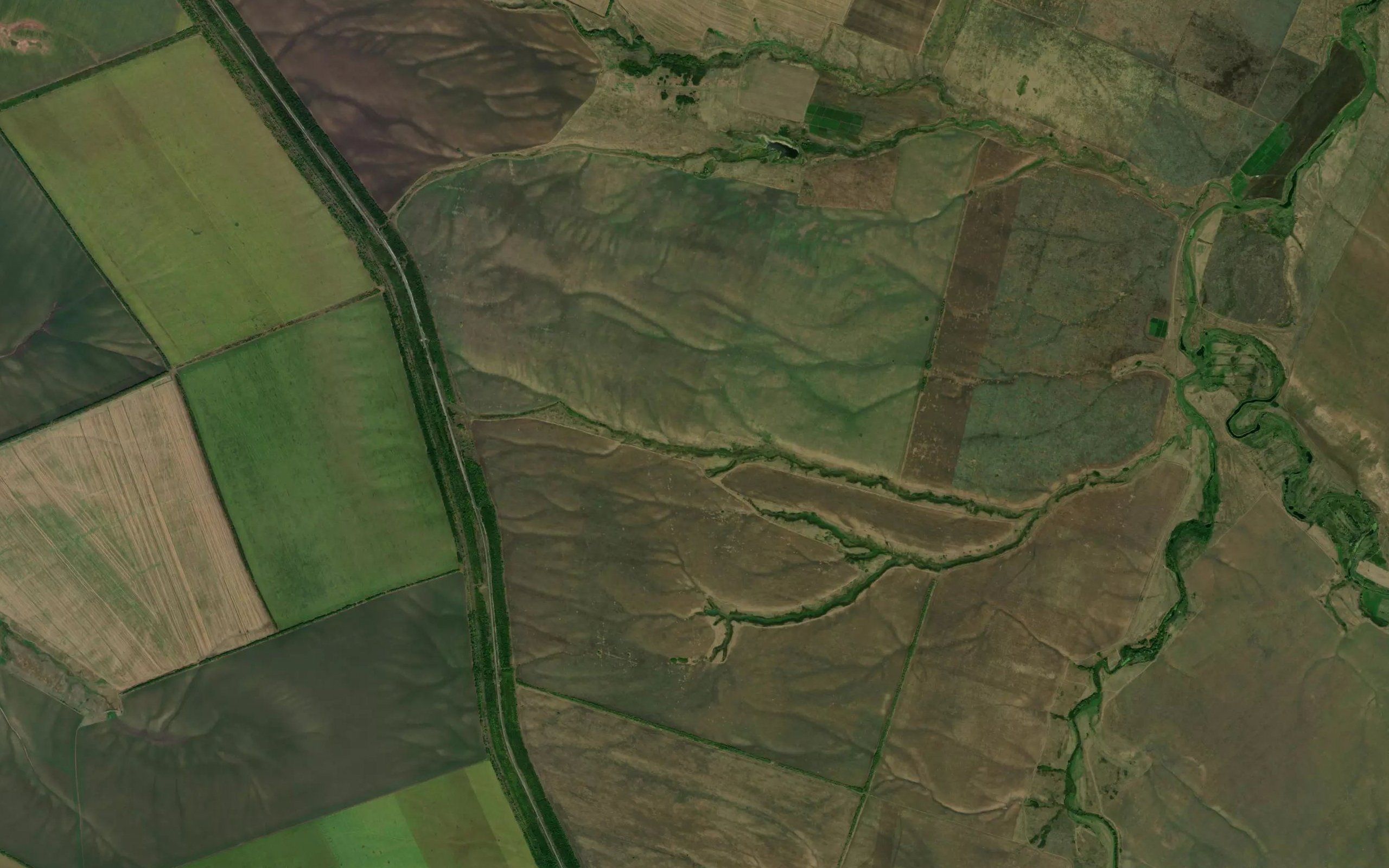 Balka Berezovaya