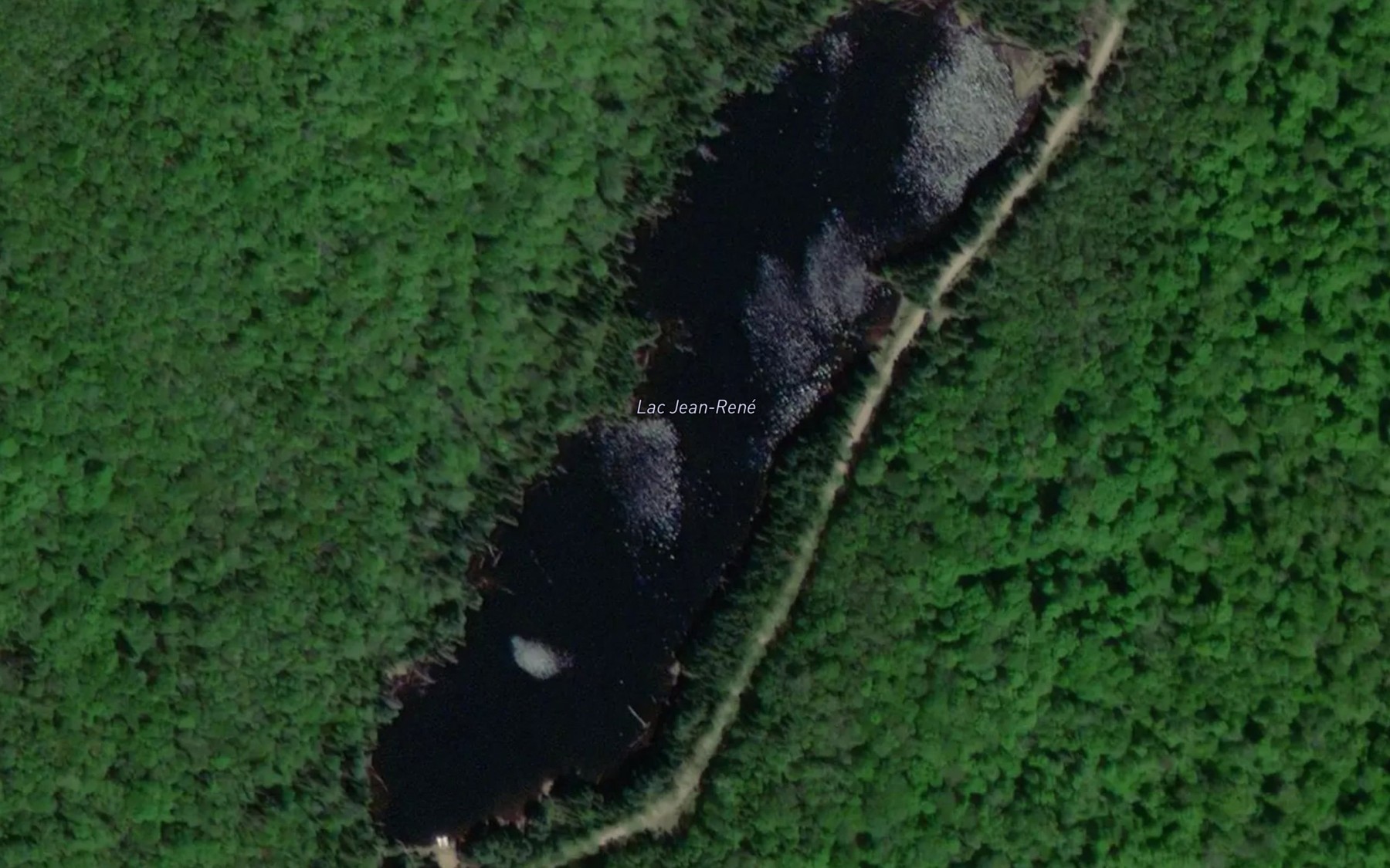 Satellite map of the Lac Jean-Rene