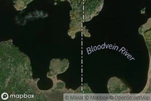 Artery Lake