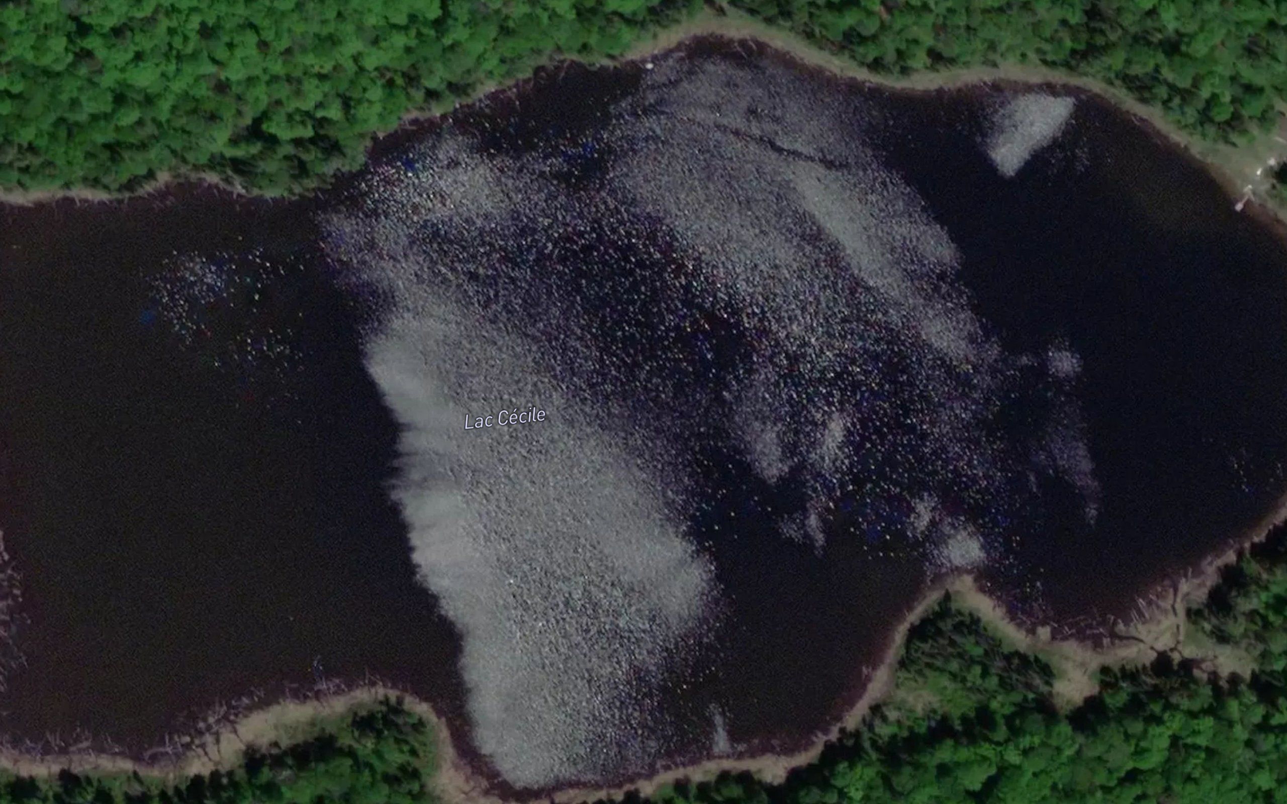 Lac Cecile
