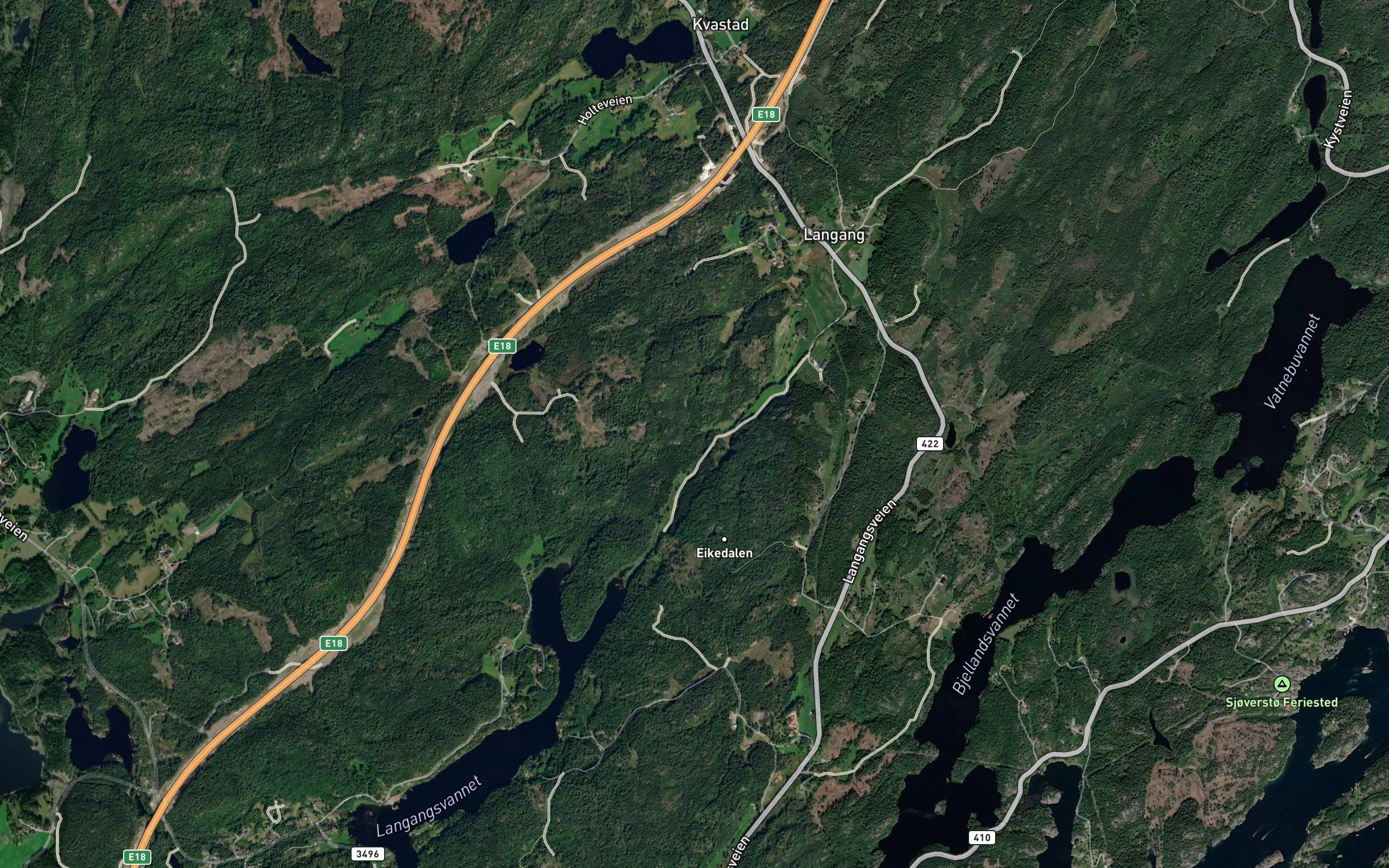 Langangselva