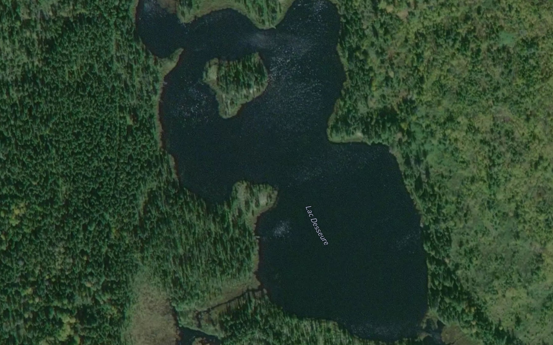 Satellite map of the Lac Desseure