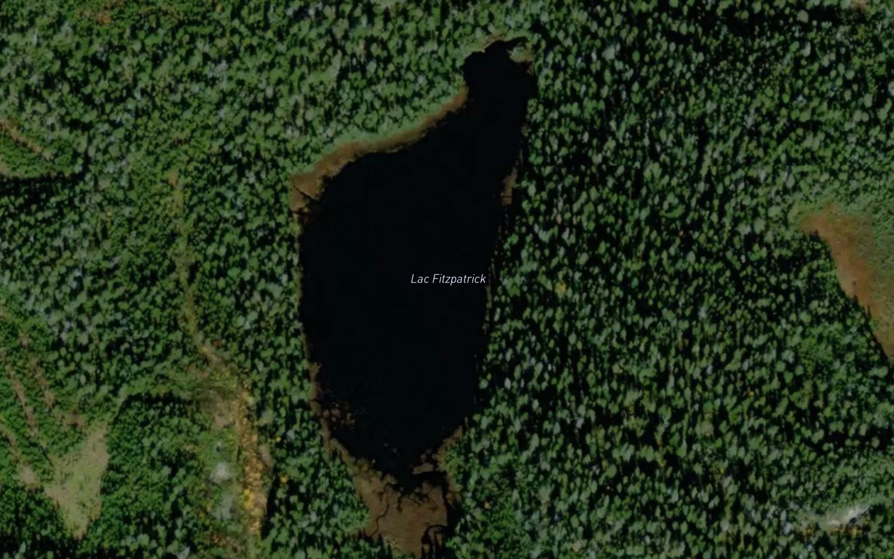 Satellite map of the Lac Fitzpatrick