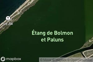 Etang de Bolmon