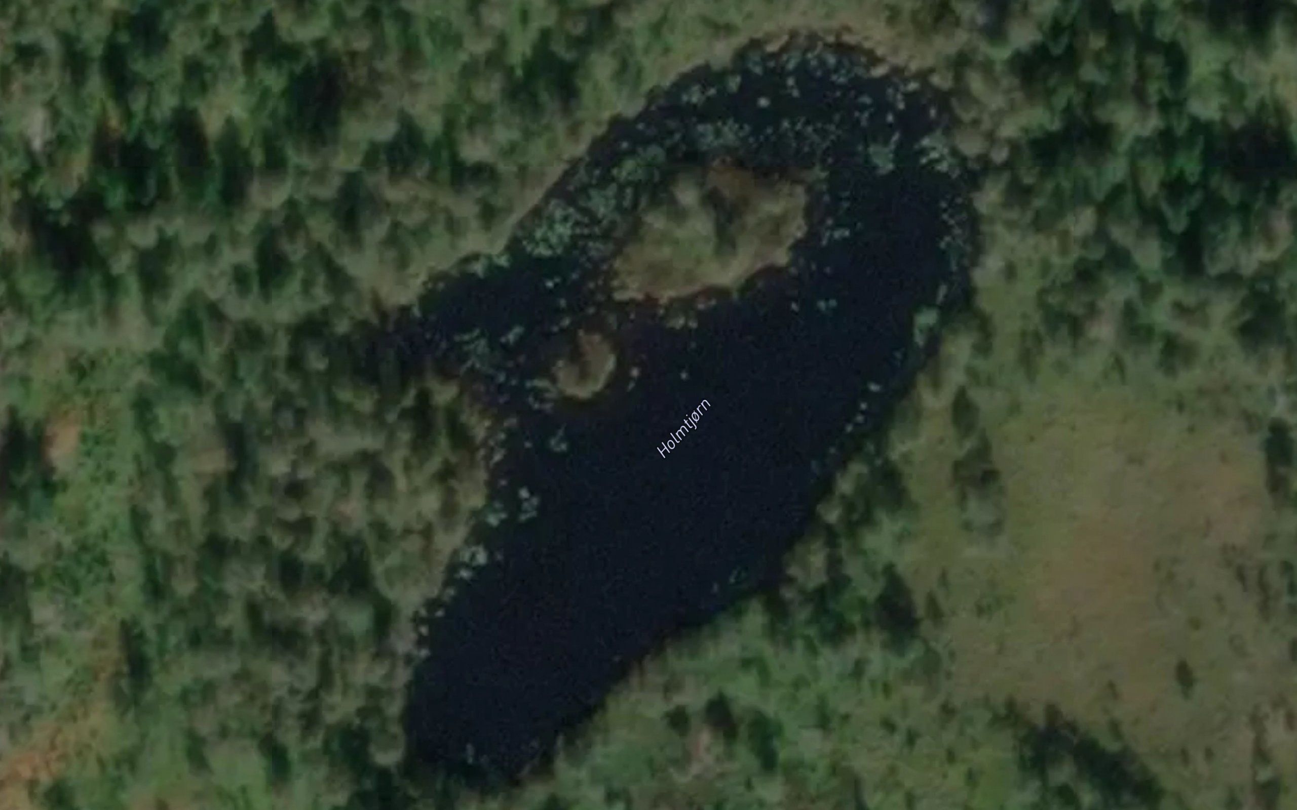 Holmtjorn