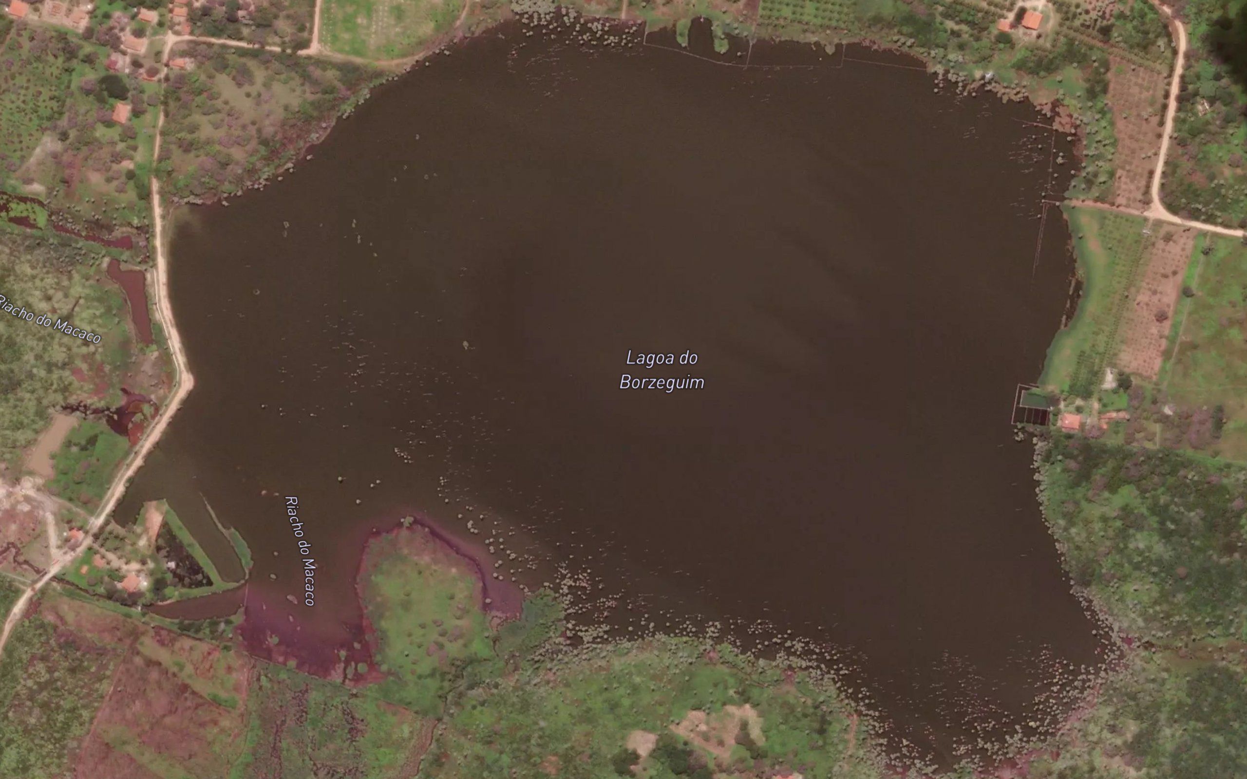 Lagoa do Borzeguim