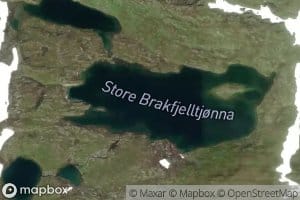 Store Brakfjelltjornan