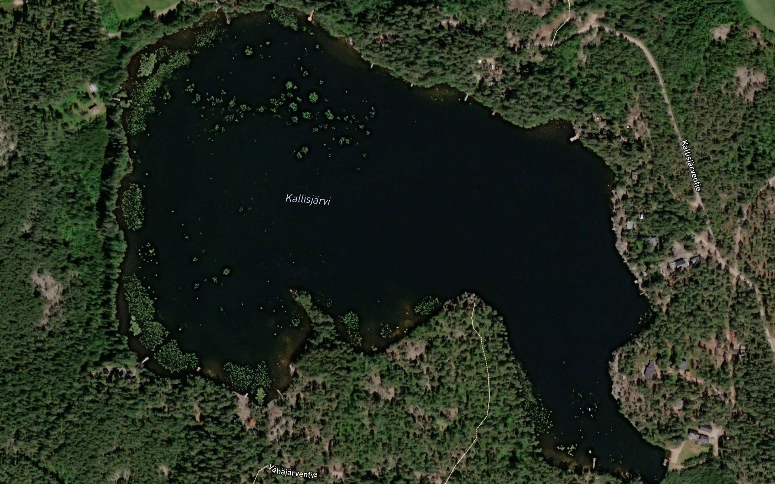 Kallisjarvi