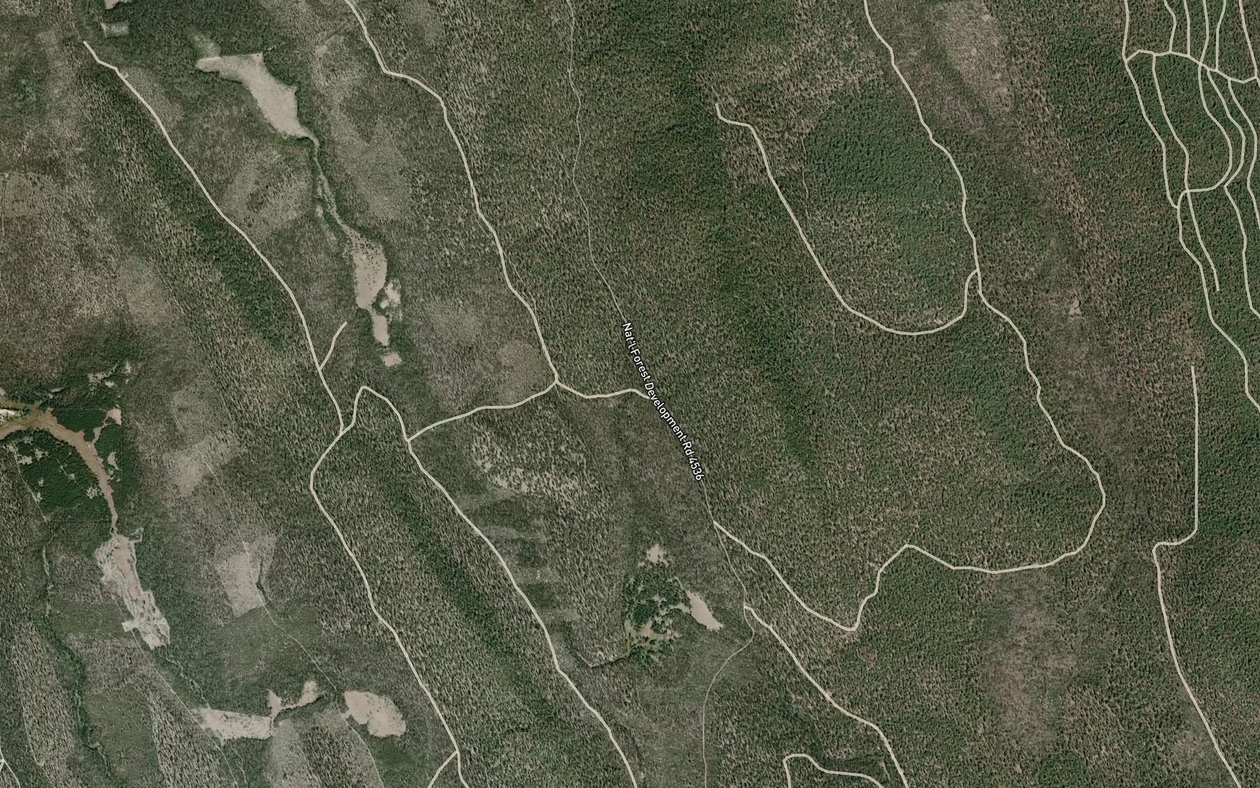 Satellite map of the Forest Spring