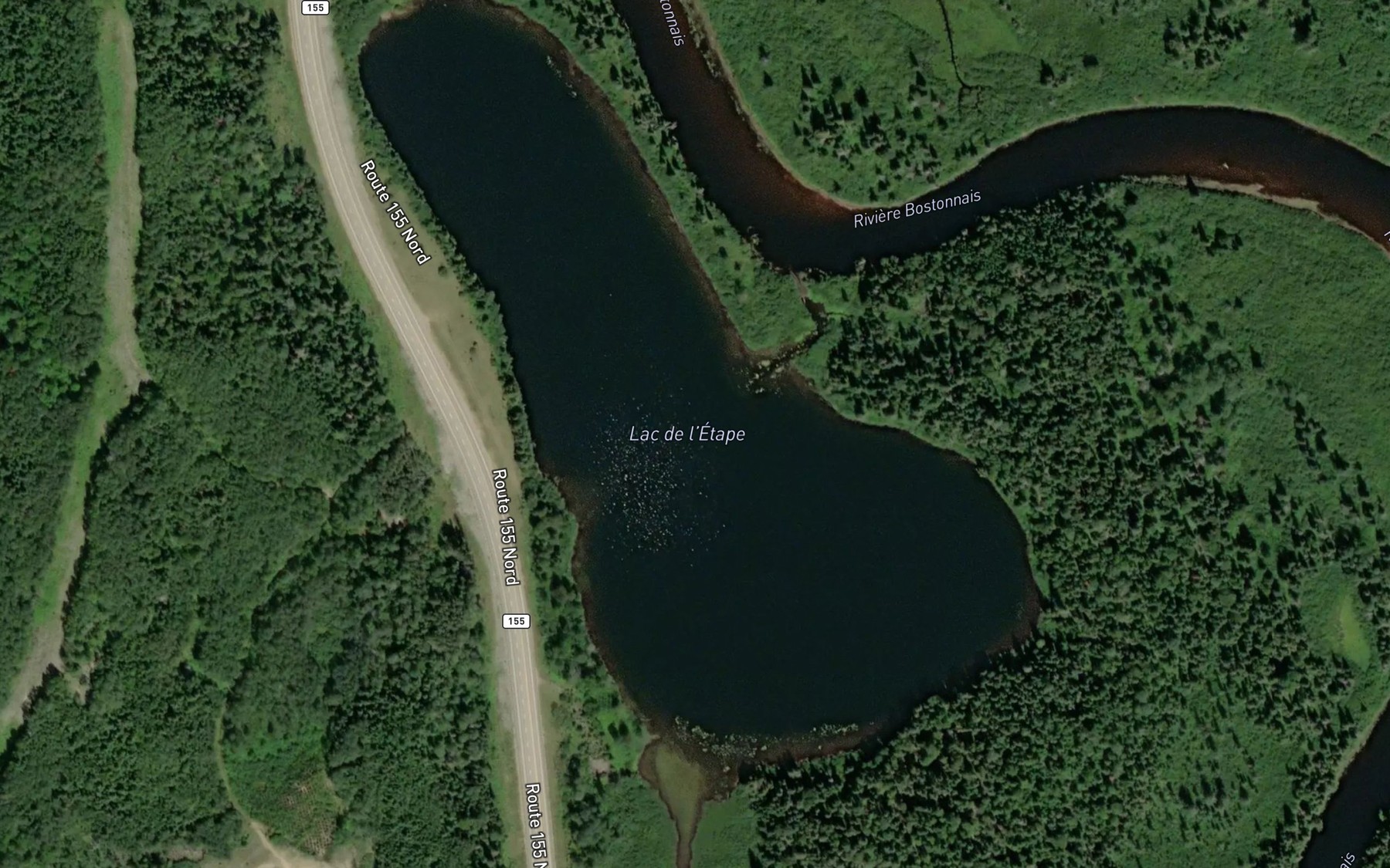 Satellite map of the Lac de l'Etape