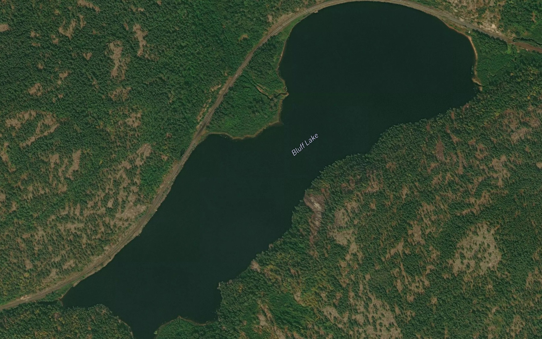 Satellite map of the Bluff Lake