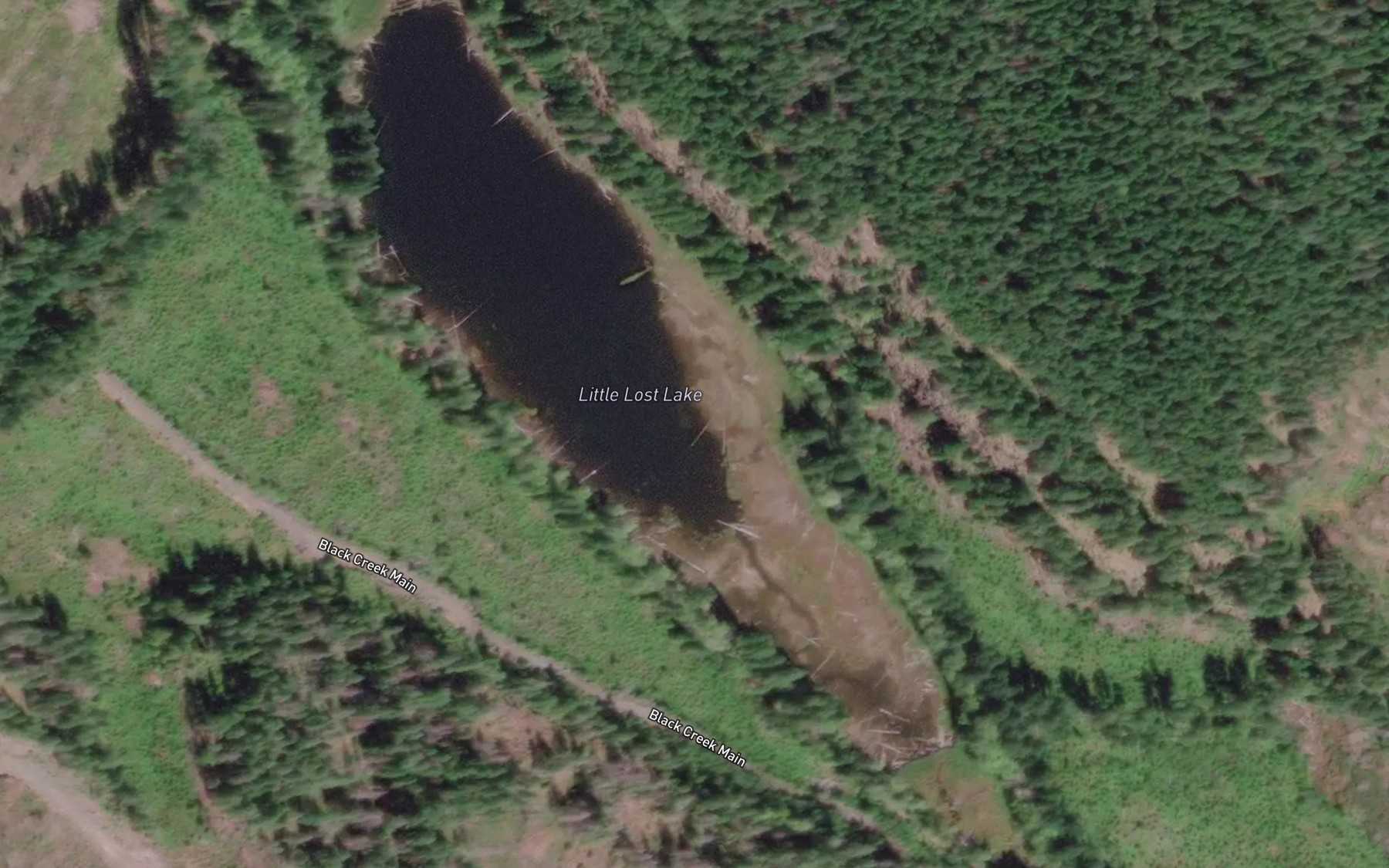 Satellite map of the Little Lost Lake