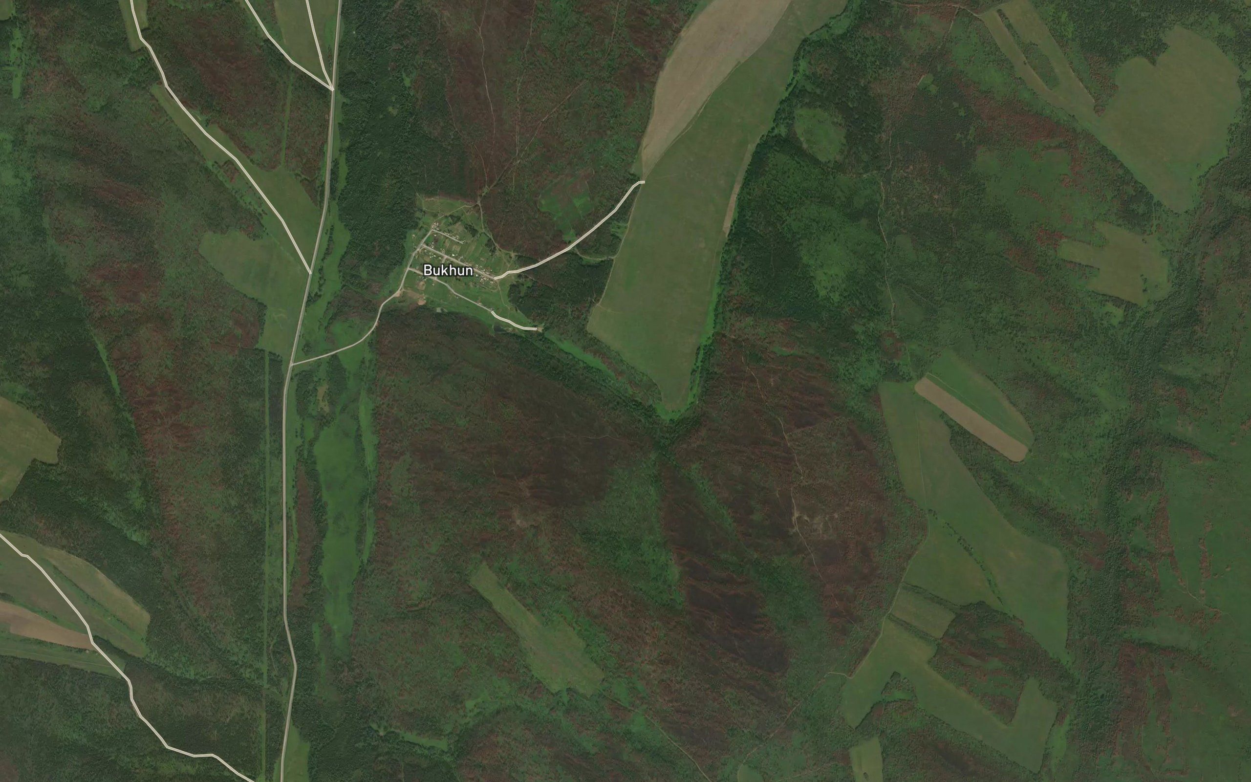 Pad' Bukhun