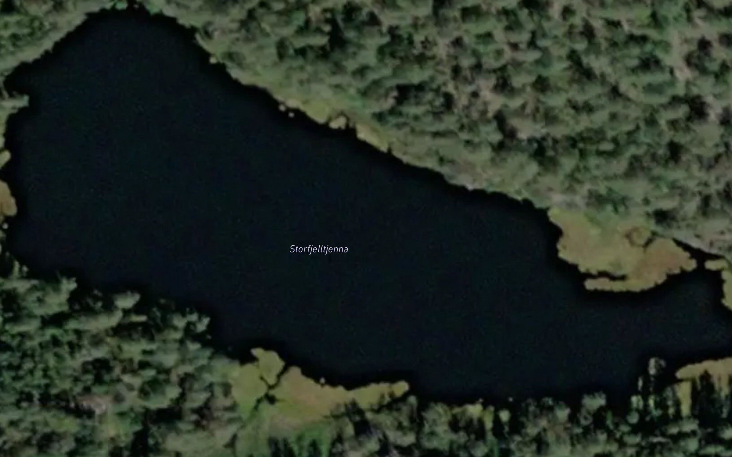 Storfjelltjerna