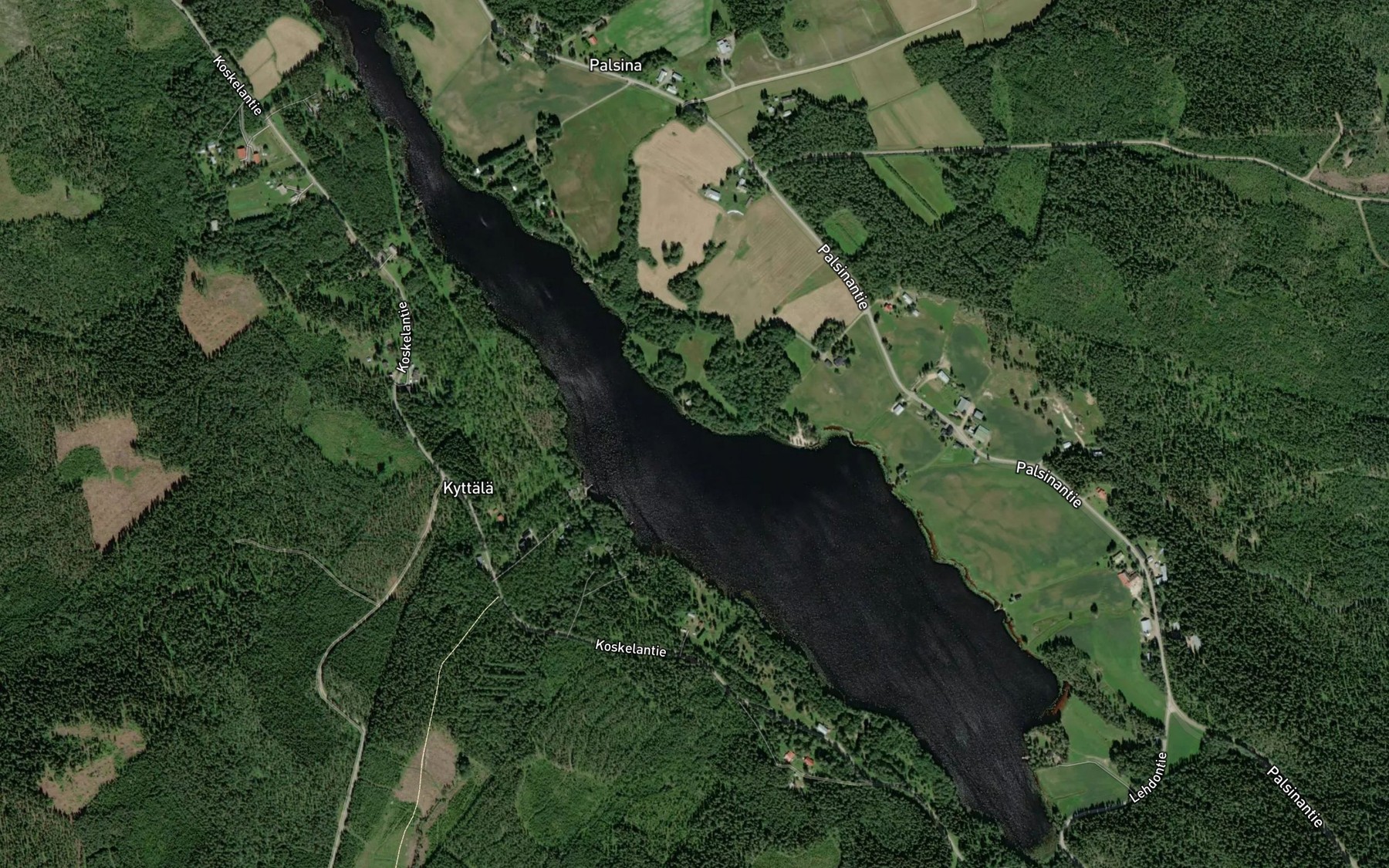 Satellite map of the Palsinajarvi