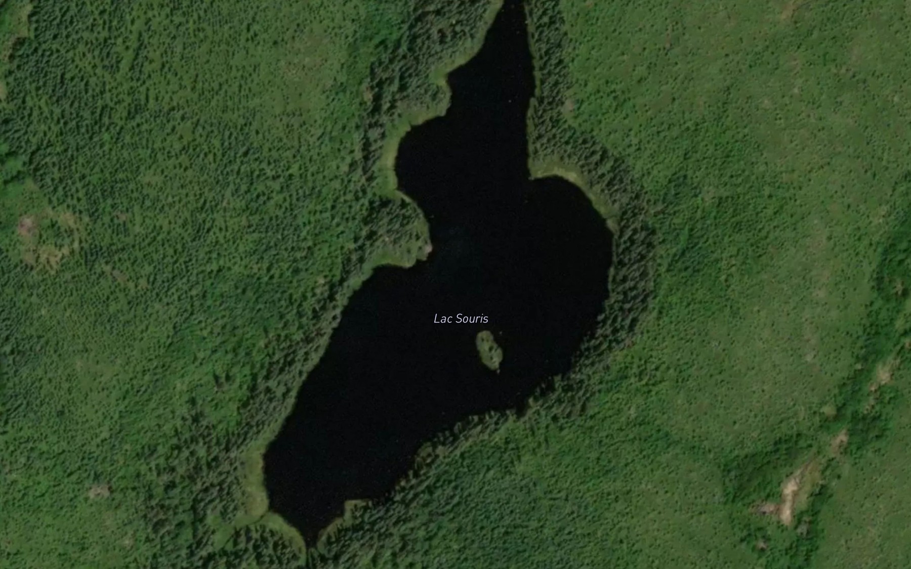 Satellite map of the Lac Souris
