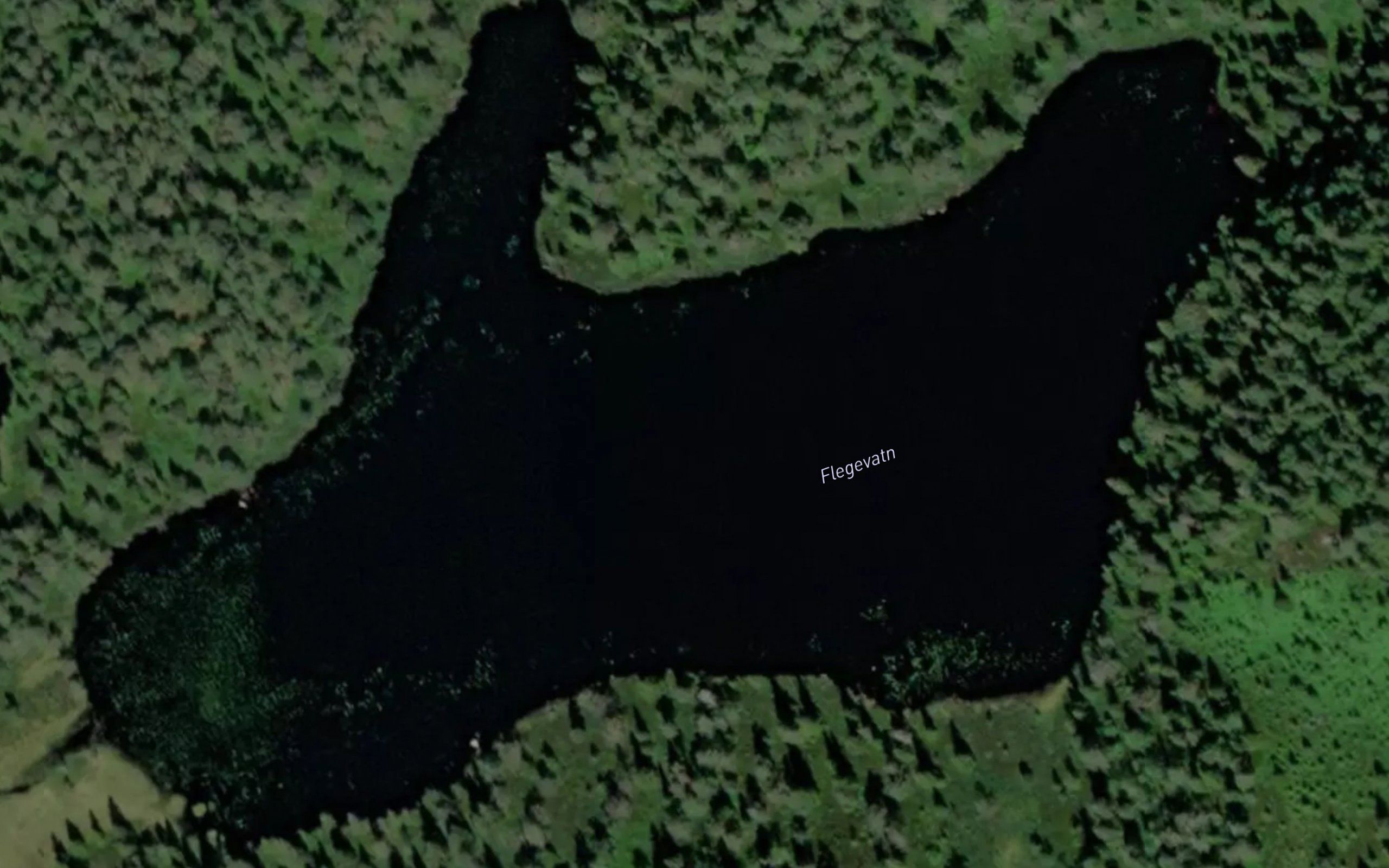 Flegevatn