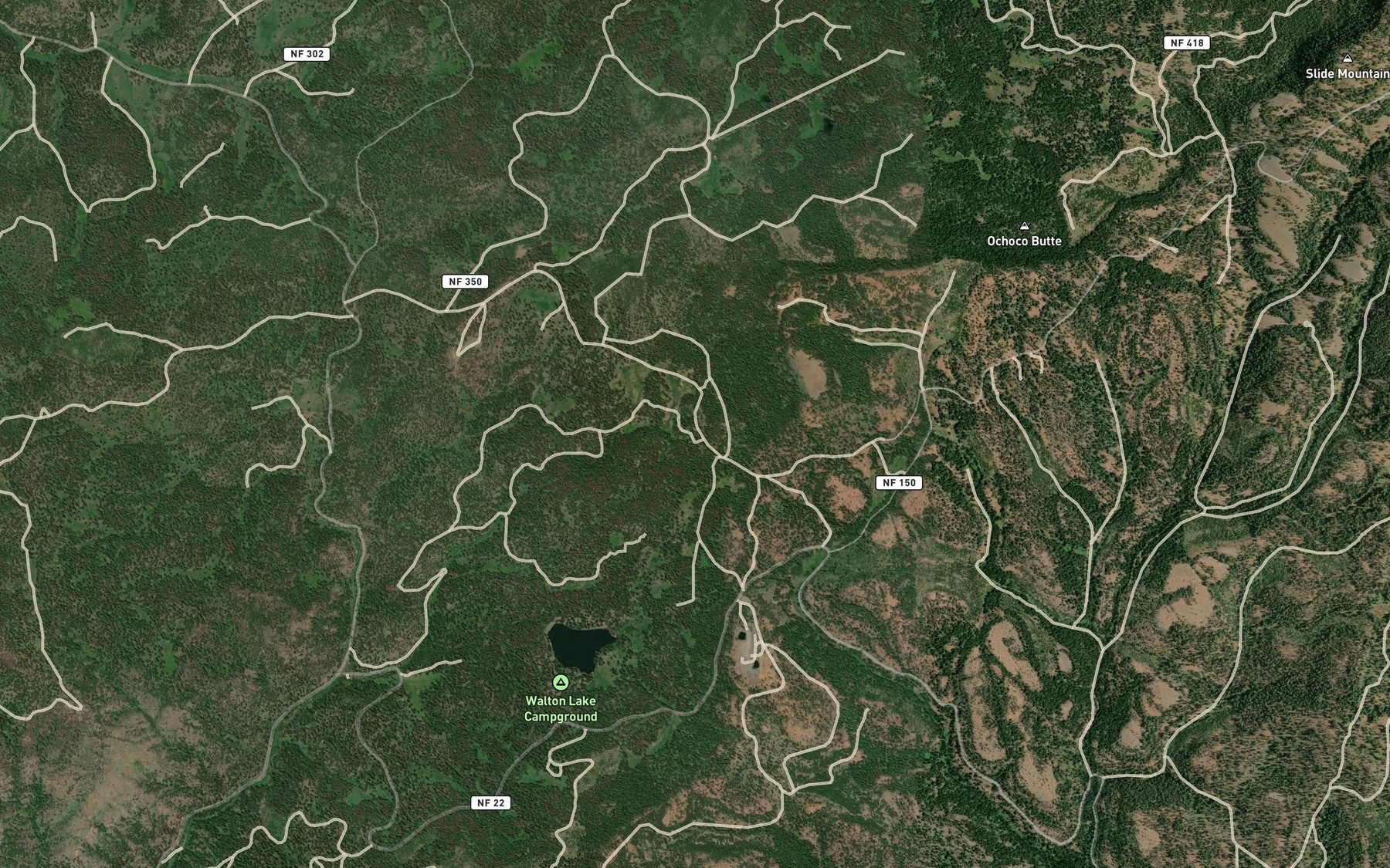 Satellite map of the Ochoco Spring