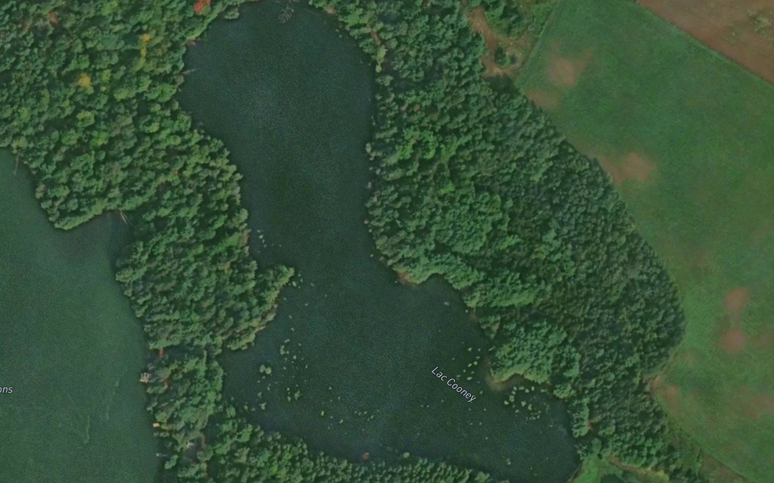 Lac Cooney