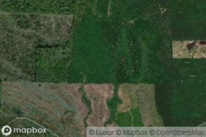 Salt Gut Slough