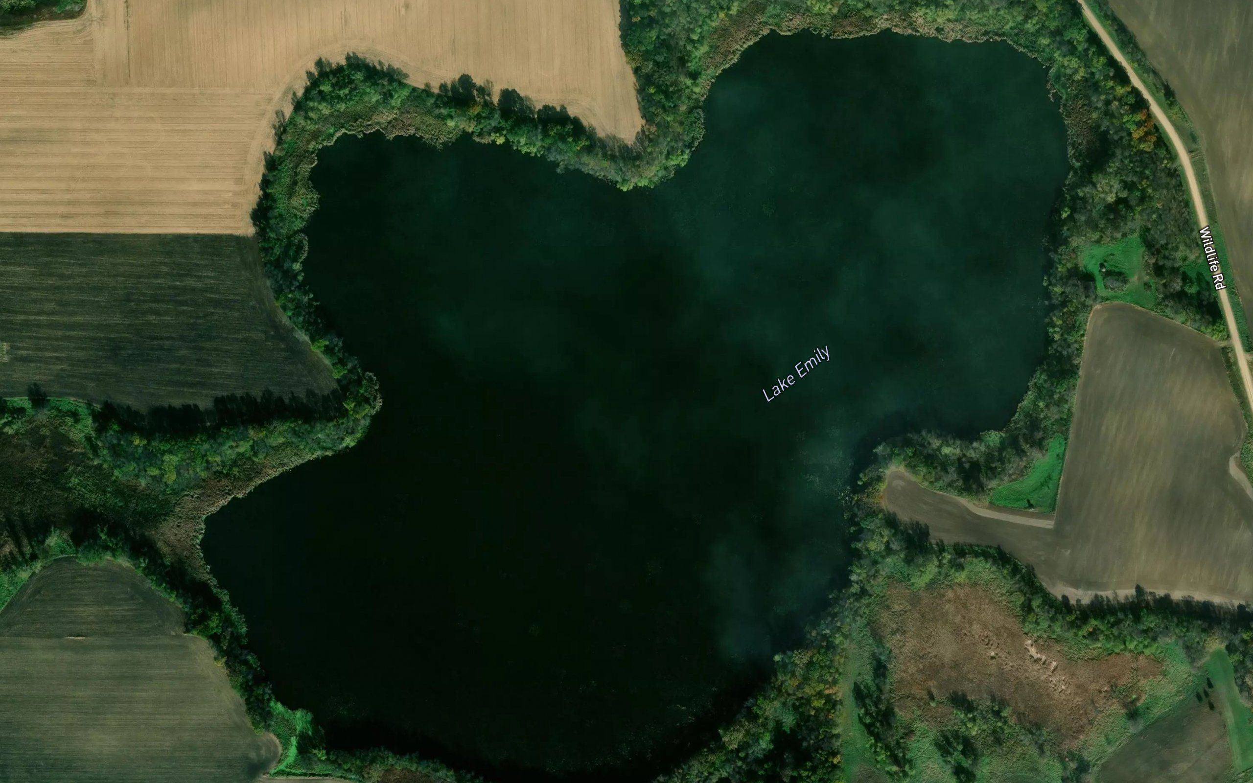 Lake Emily
