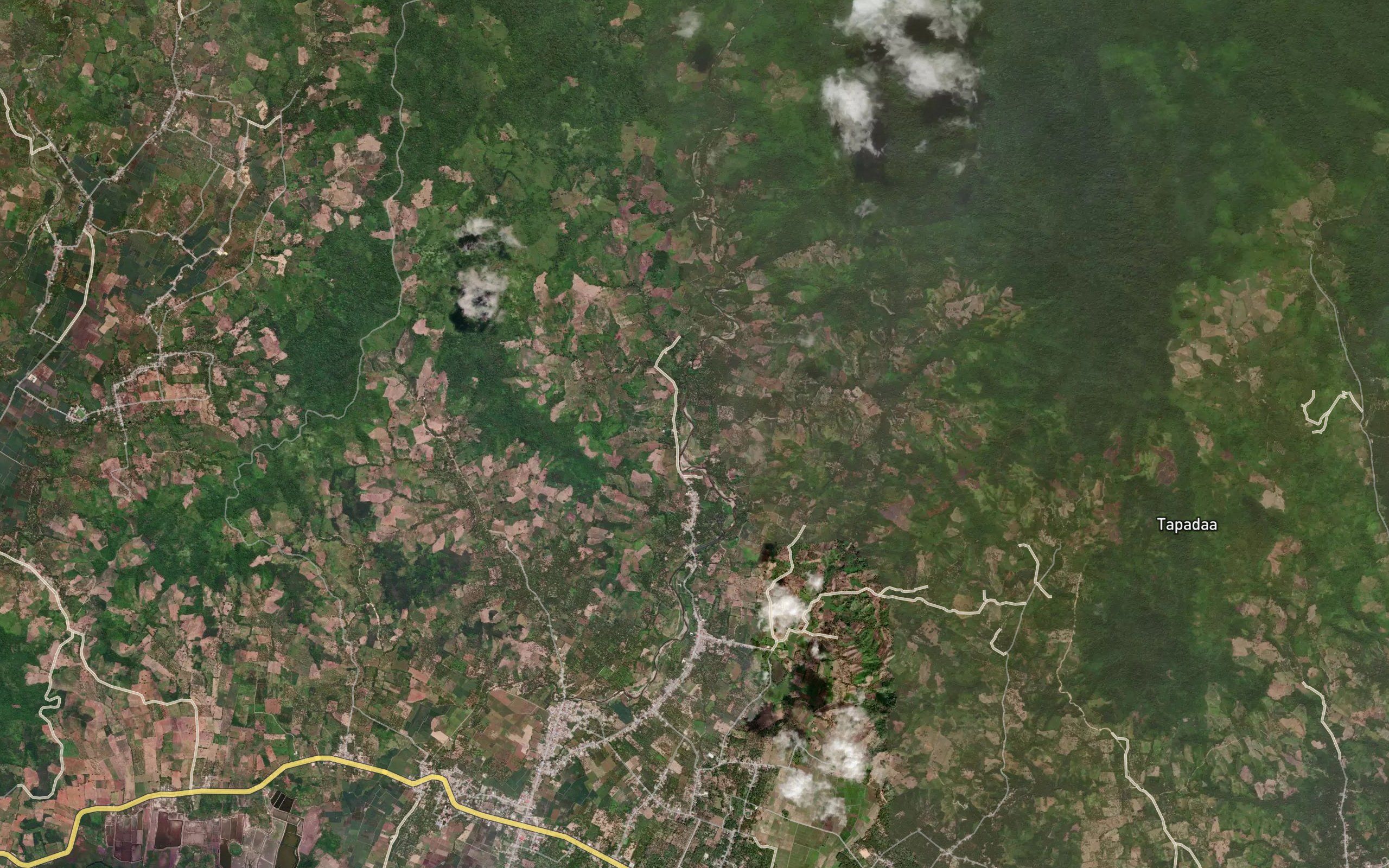 Dutula Linta