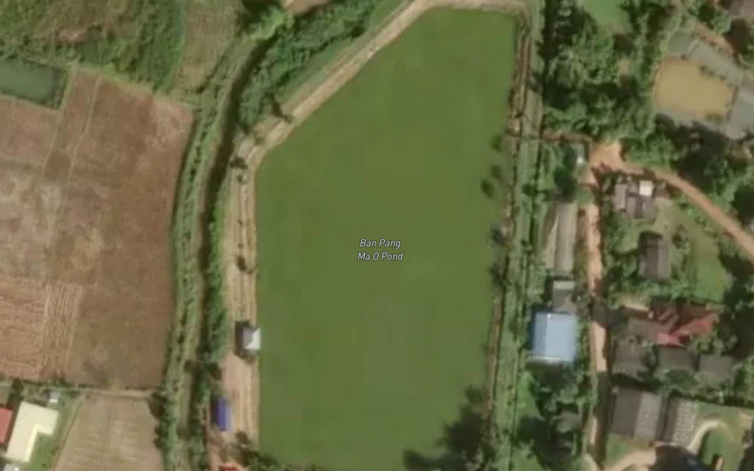 Ban Pang Ma O Pond