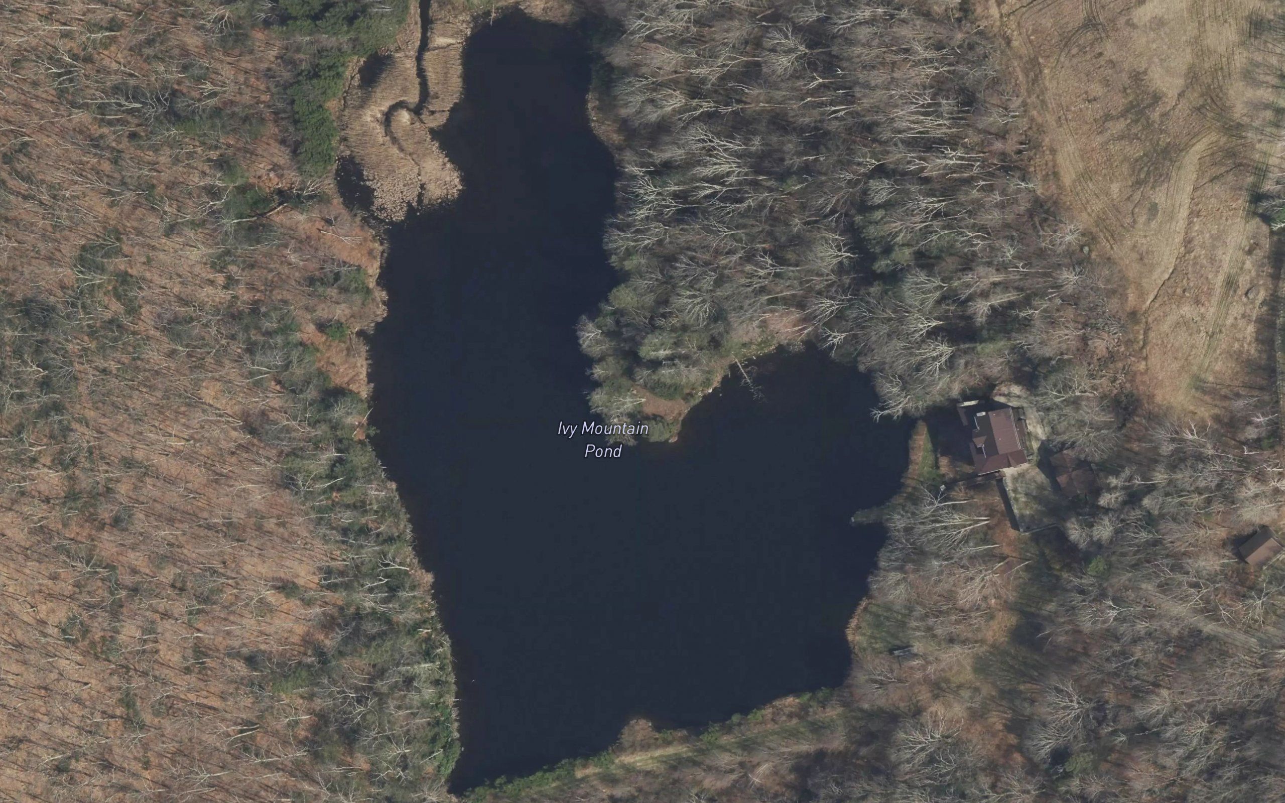 Ivy Mountain Pond