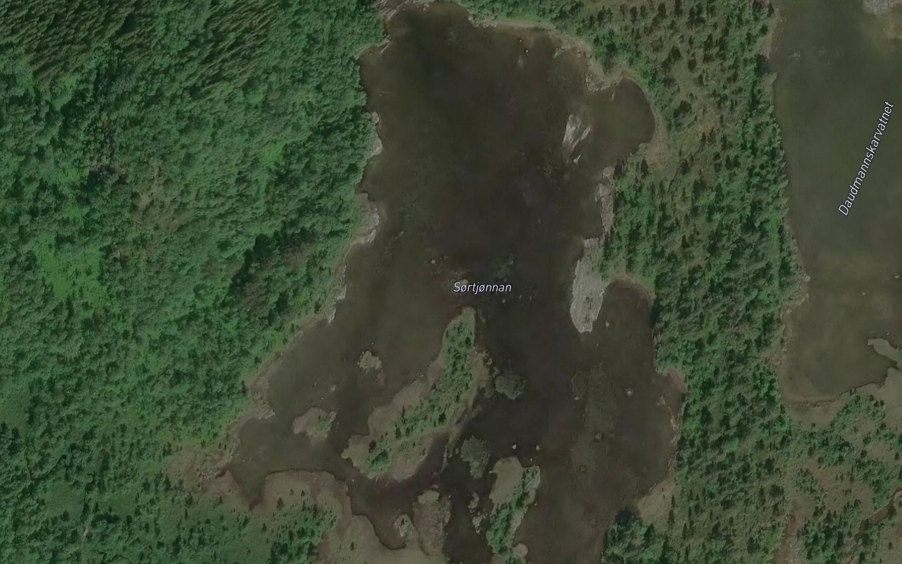Satellite map of the Sortjonnan