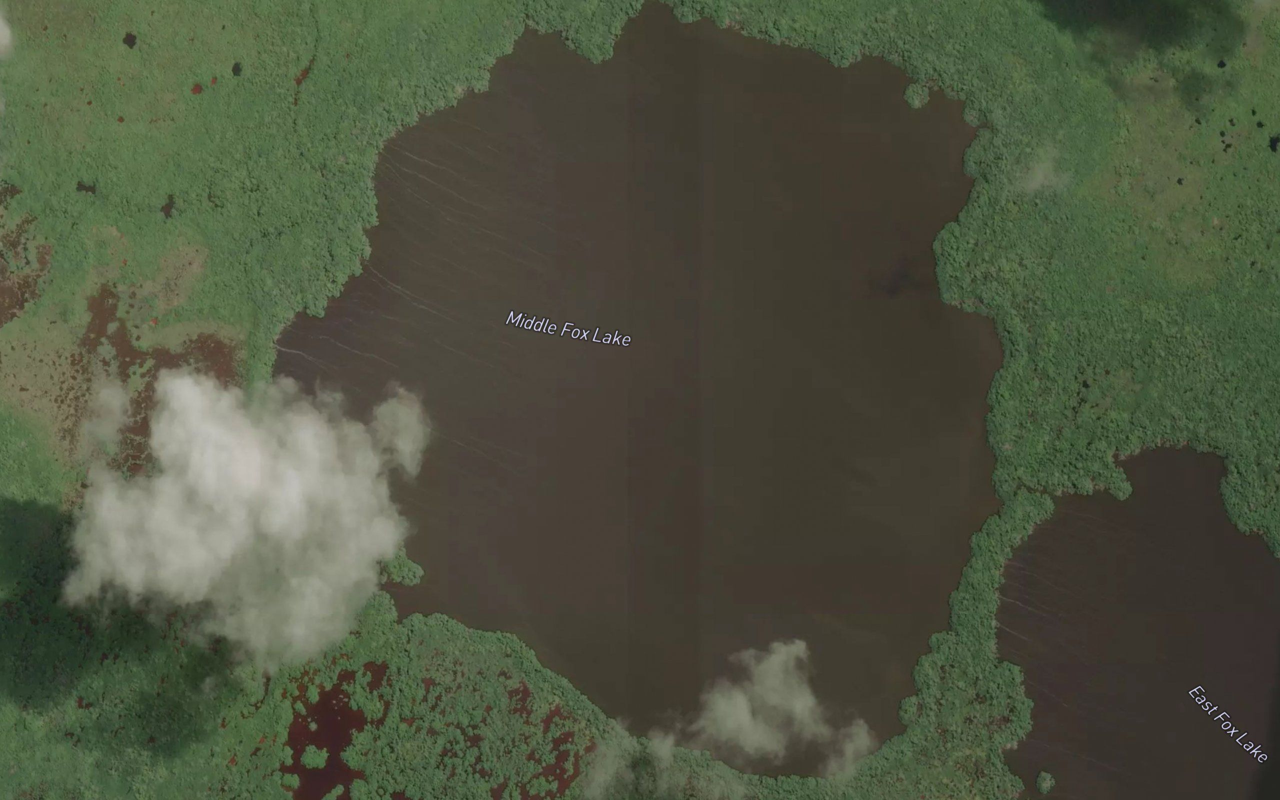 Middle Fox Lake