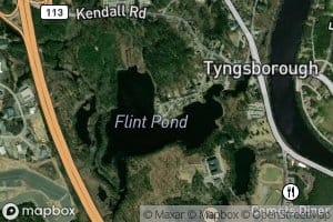 Flint Pond