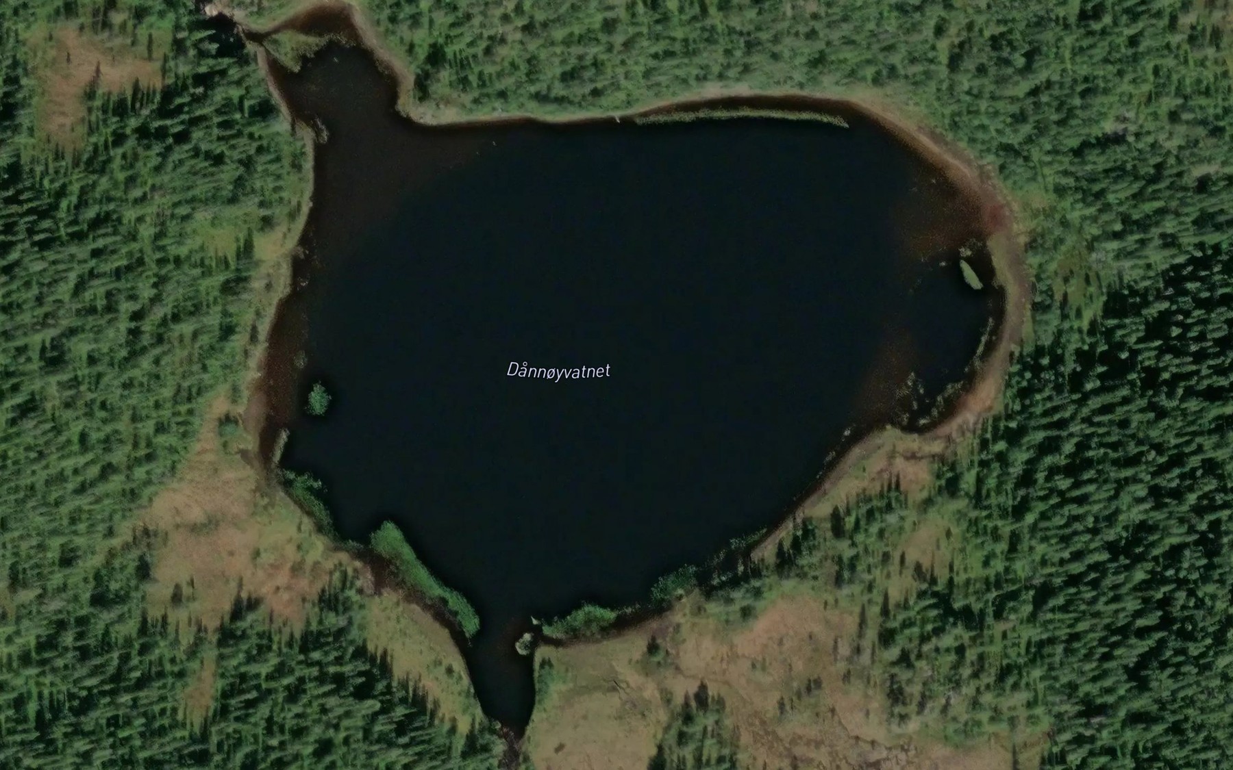 Satellite map of the Dannoyvatnet