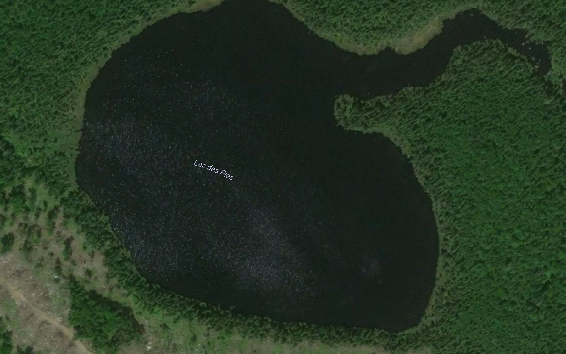 Satellite map of the Lac des Pies