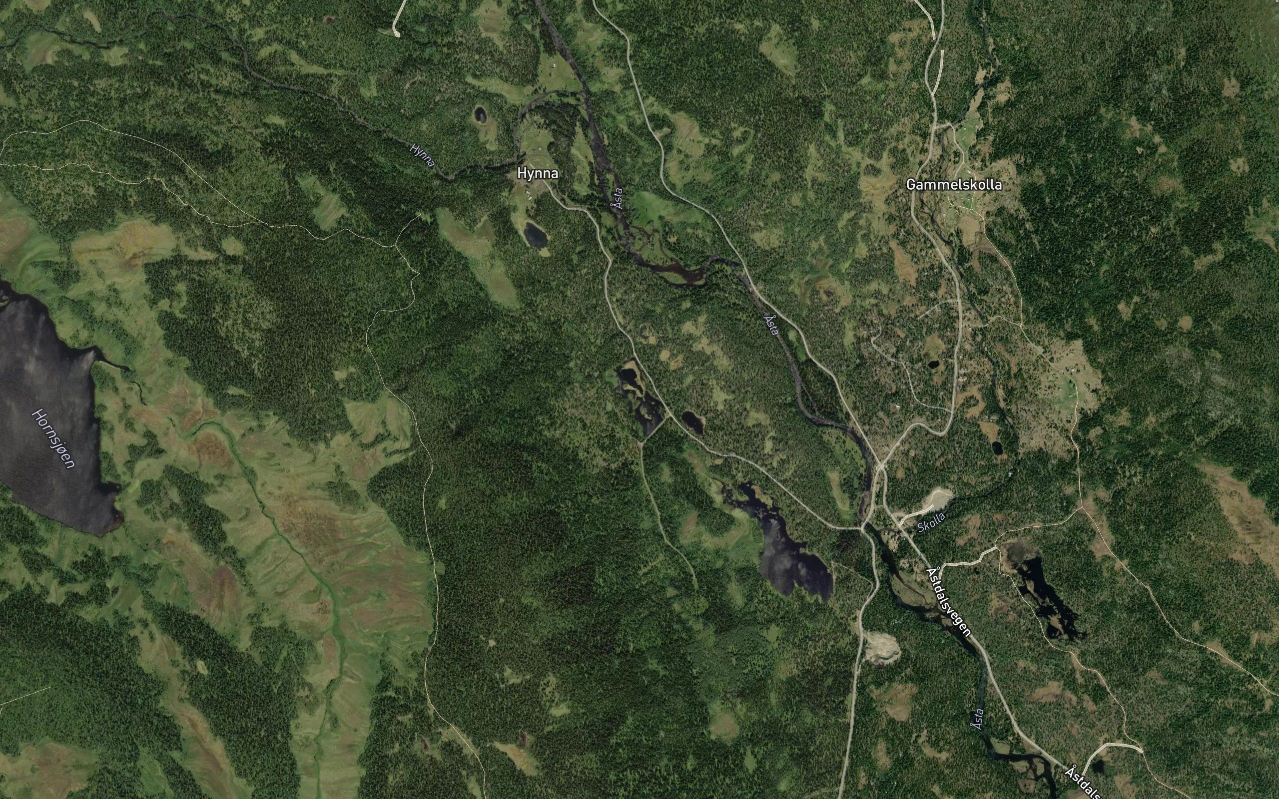 Hangenholtjernet