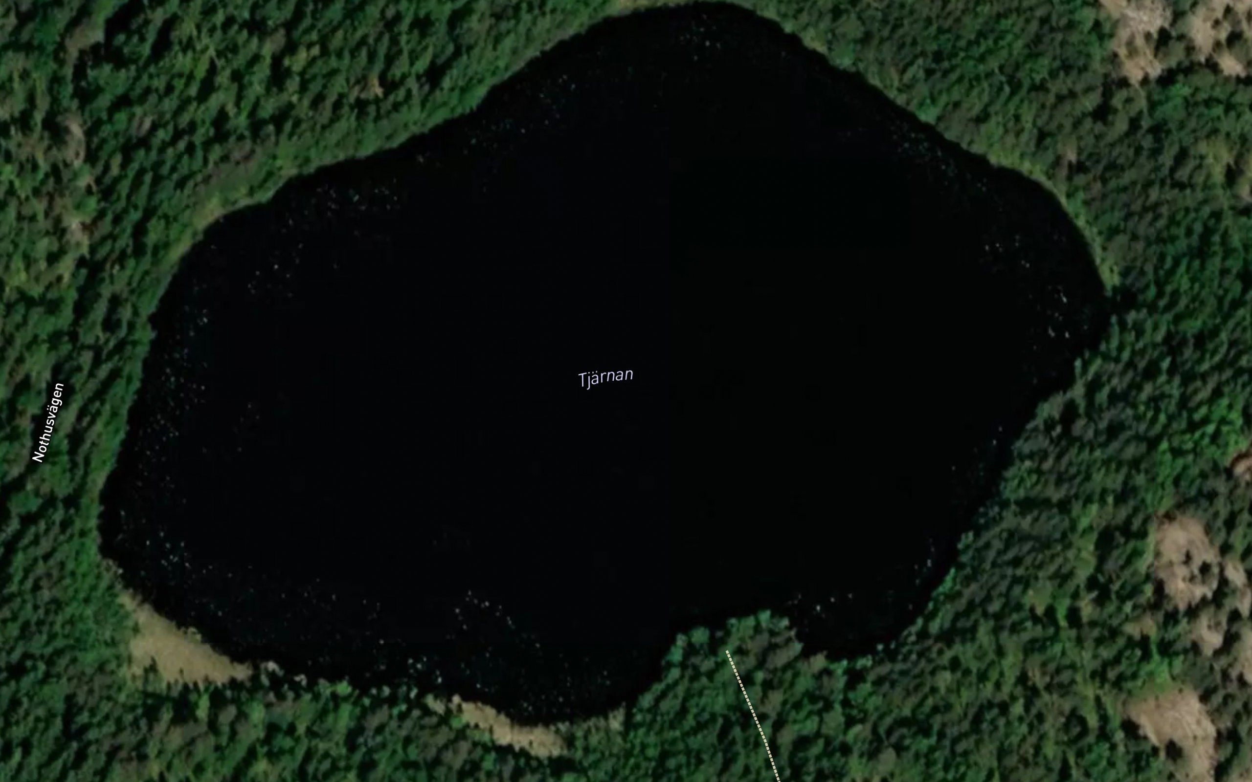 Tjarnan