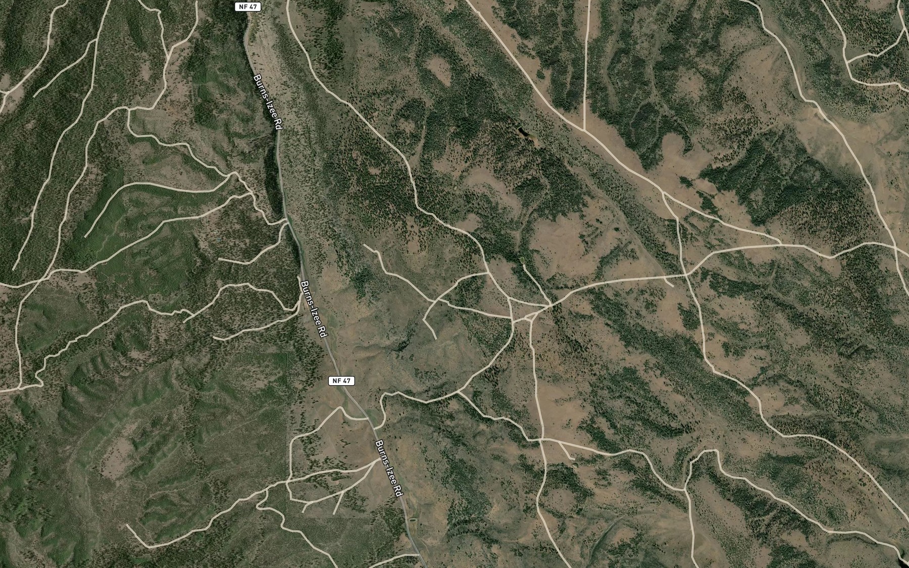 Satellite map of the Silver Reservoir