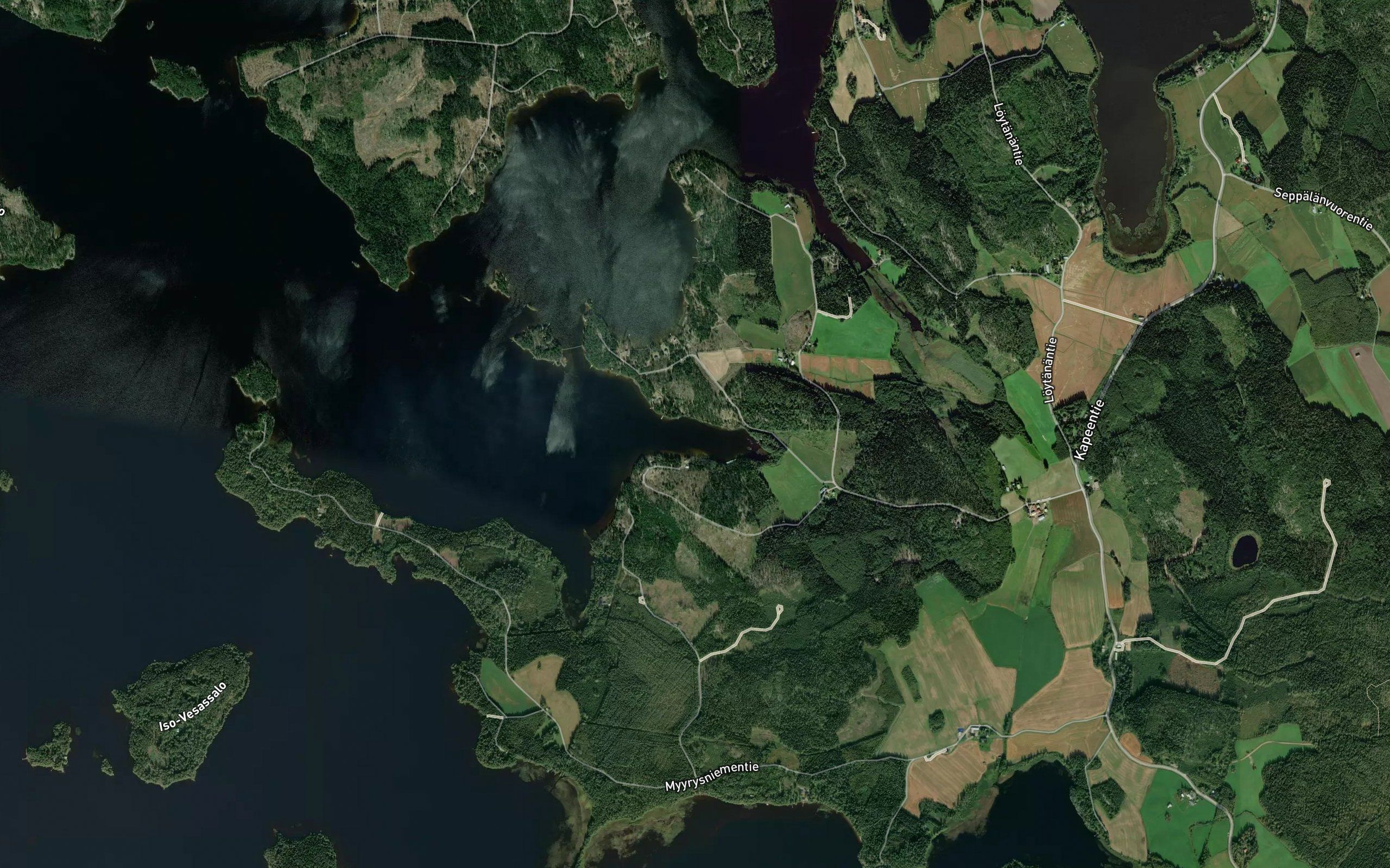 Koivulahti