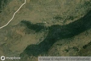 Bear Springs