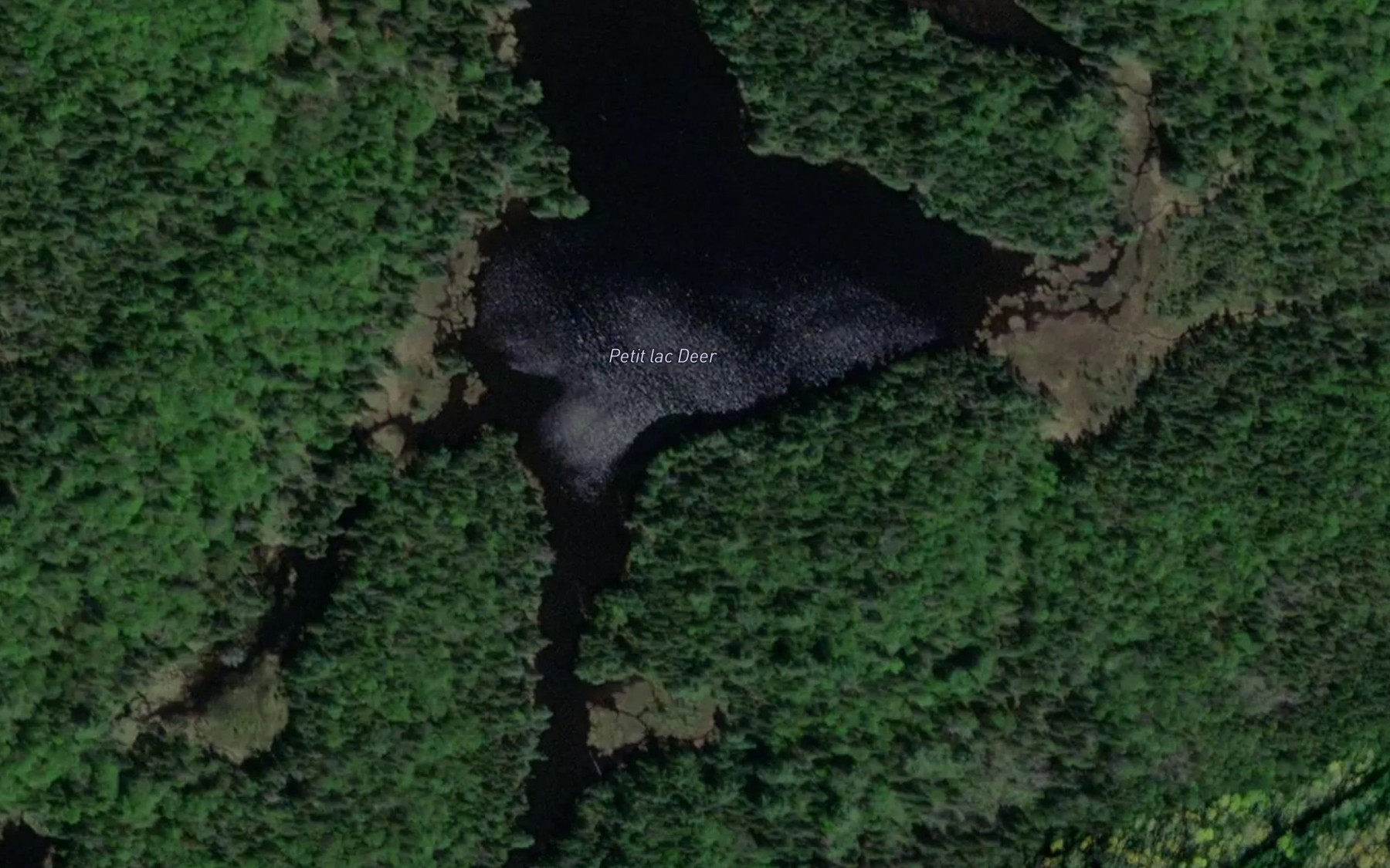 Satellite map of the Petit lac Deer