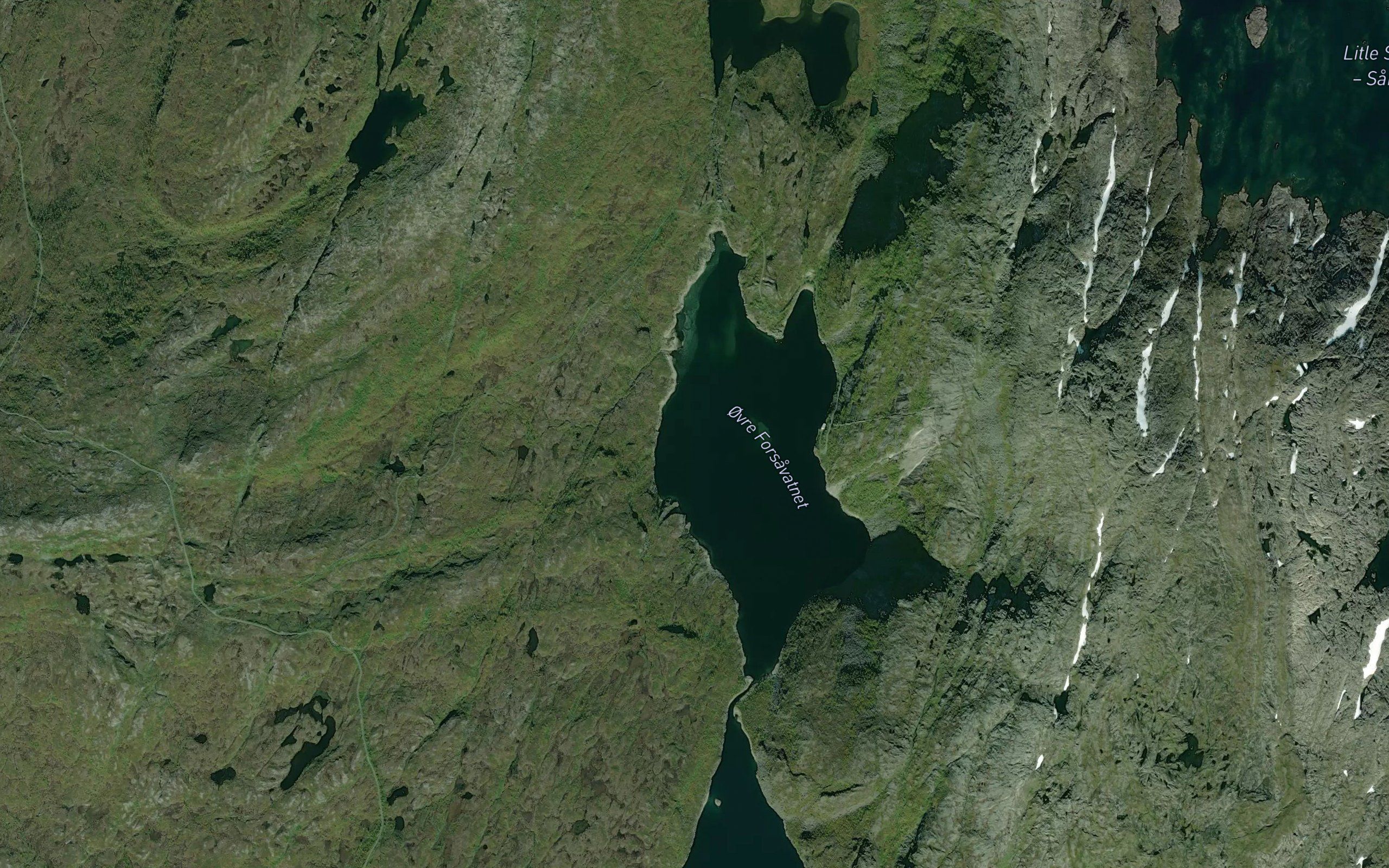 Forsavatnet,ovre