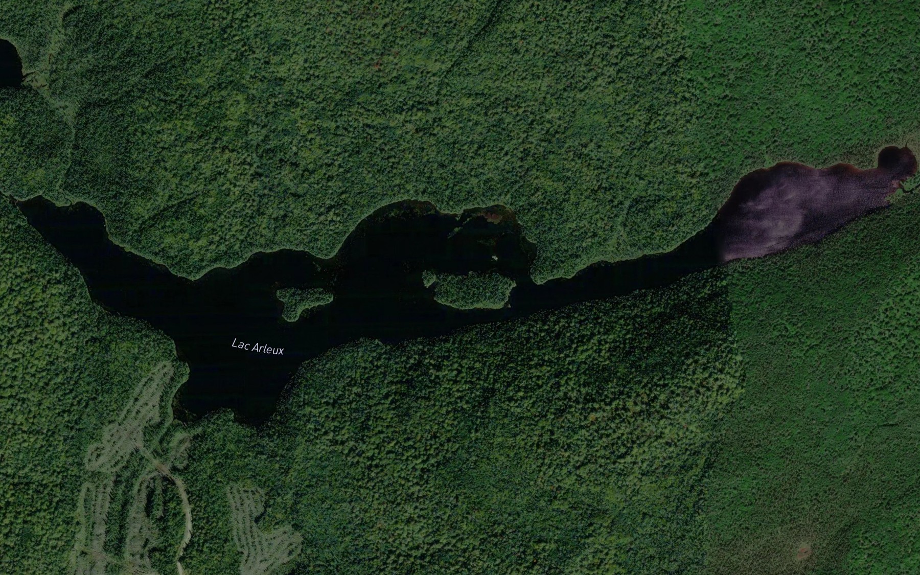 Satellite map of the Lac Arleux