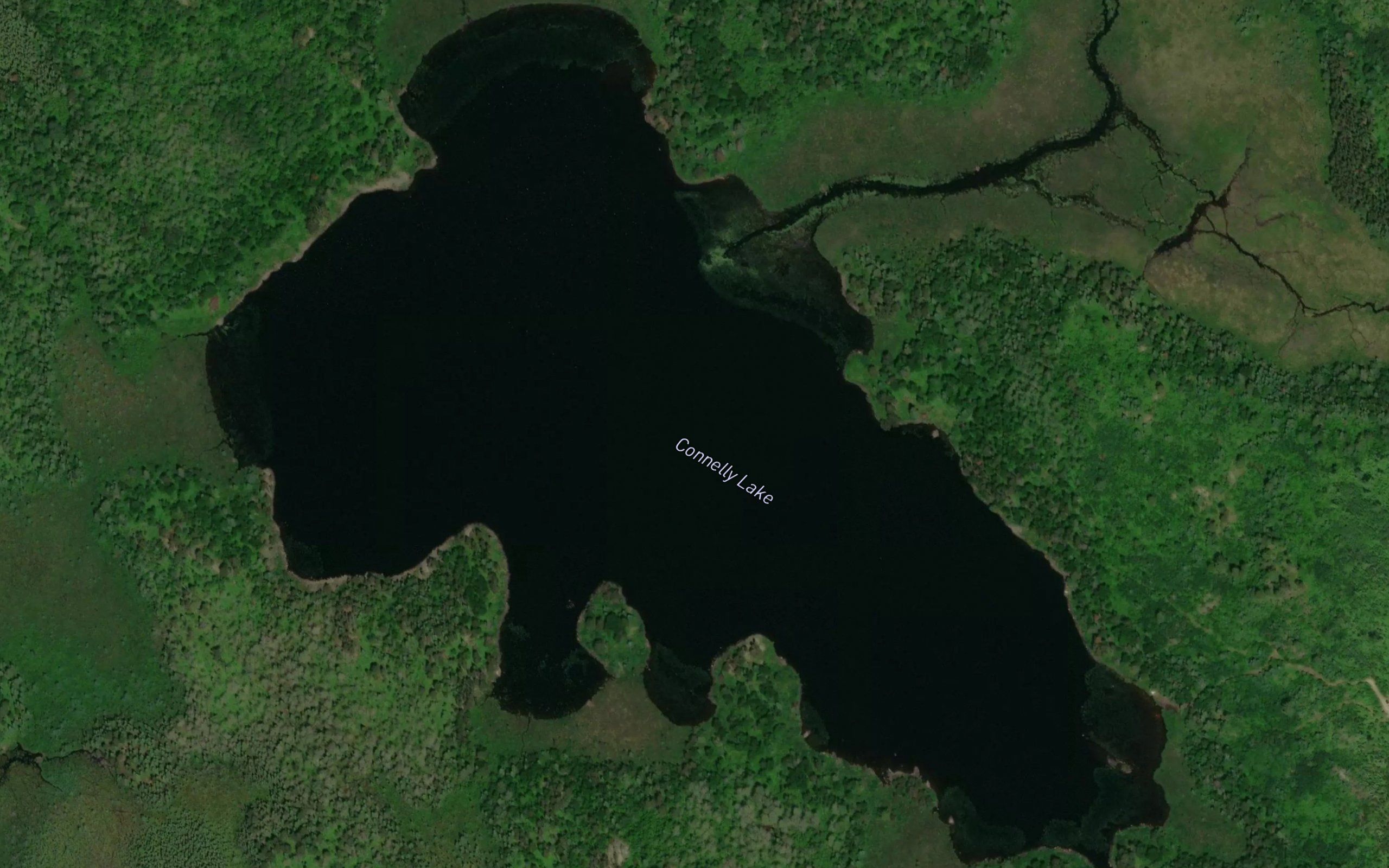 Connelly Lake