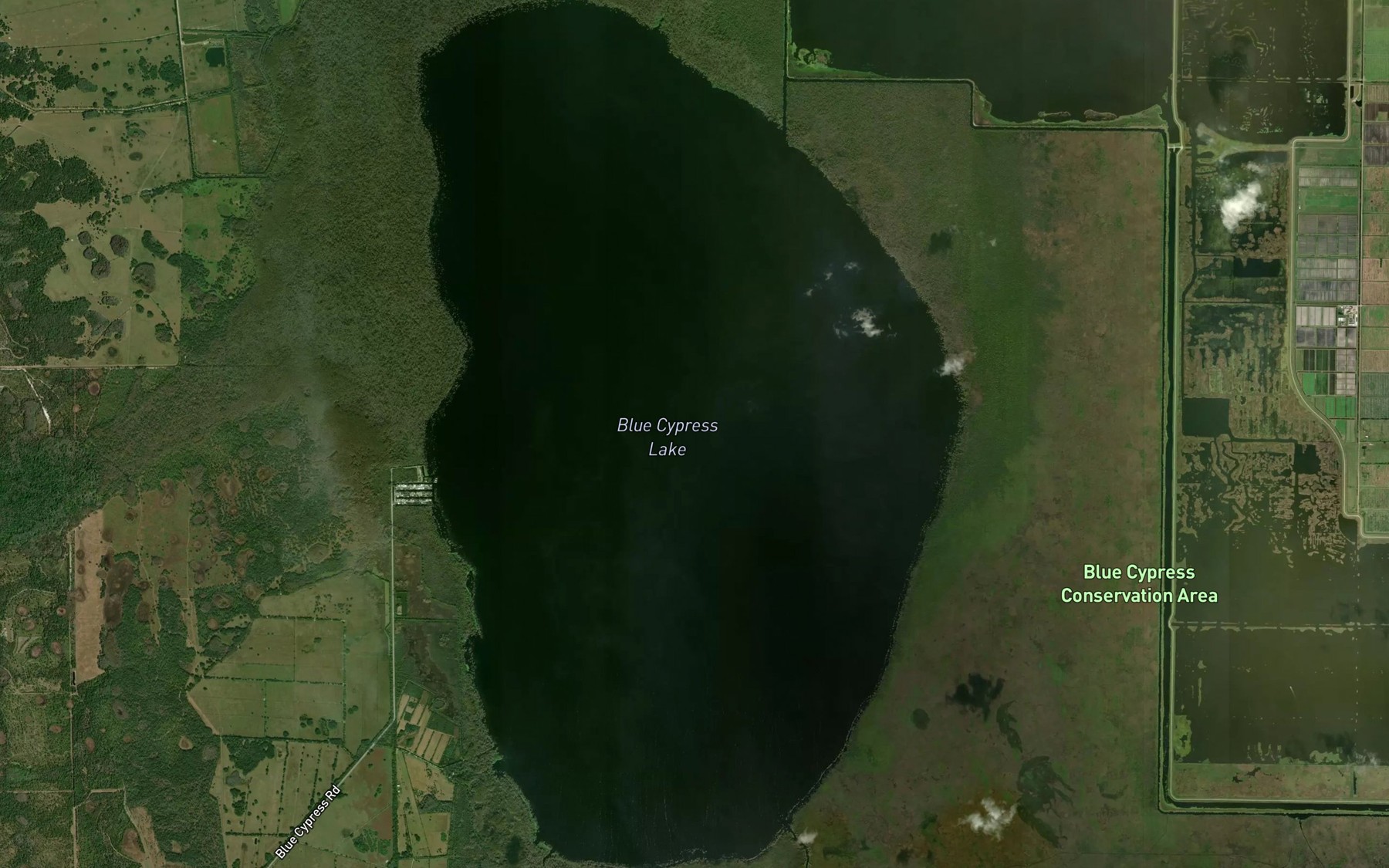 Satellite map of the Blue Cypress Lake