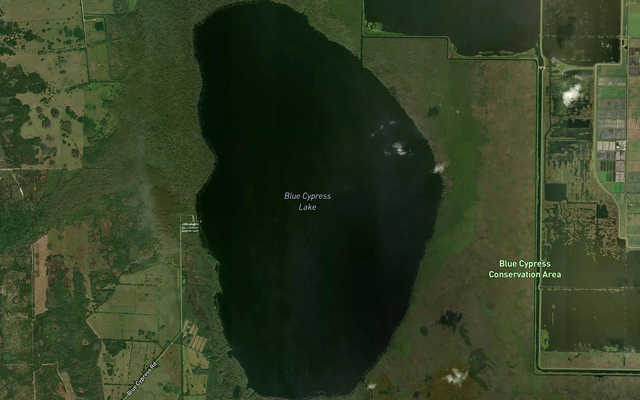 Blue Cypress Lake