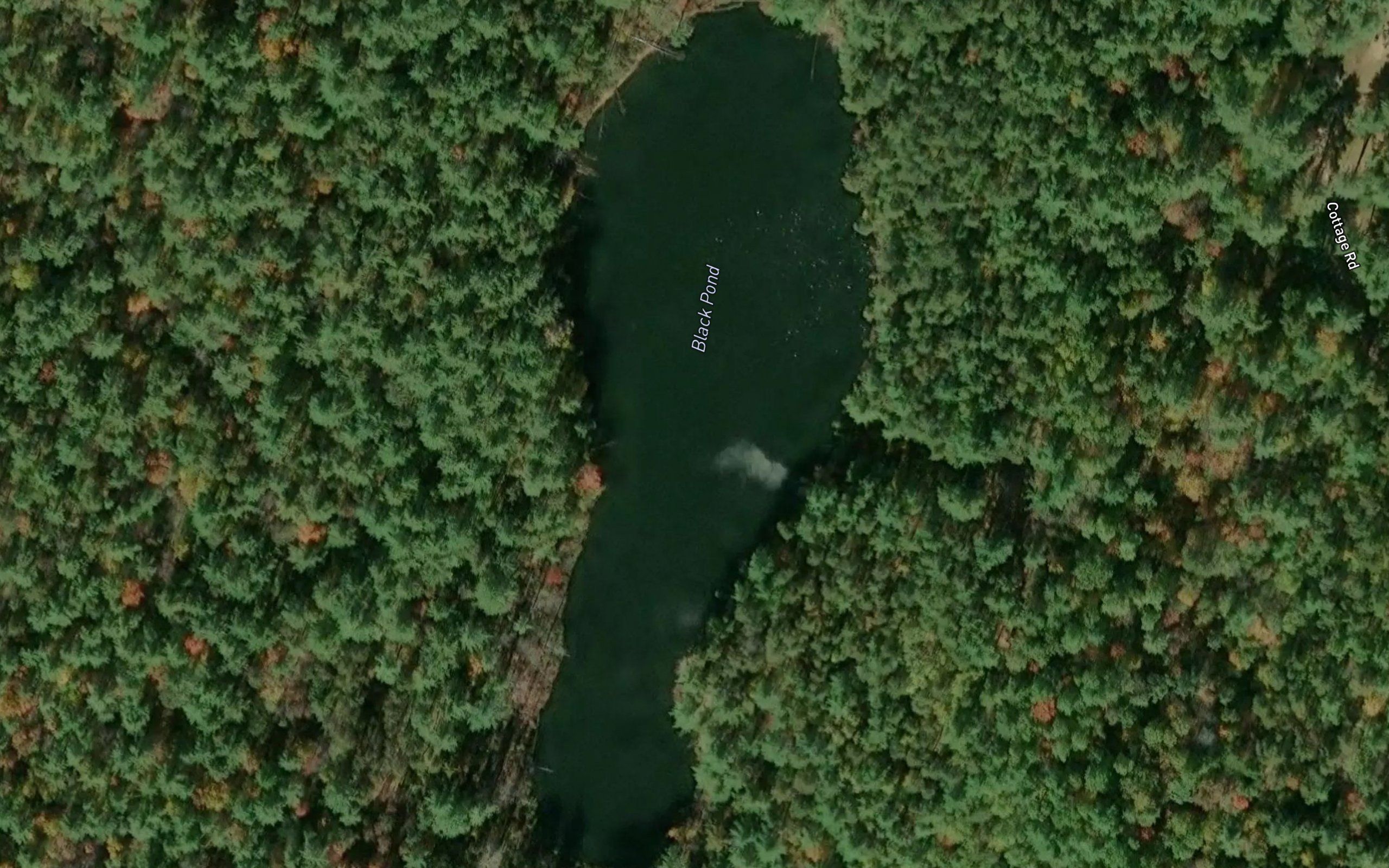 Black Pond